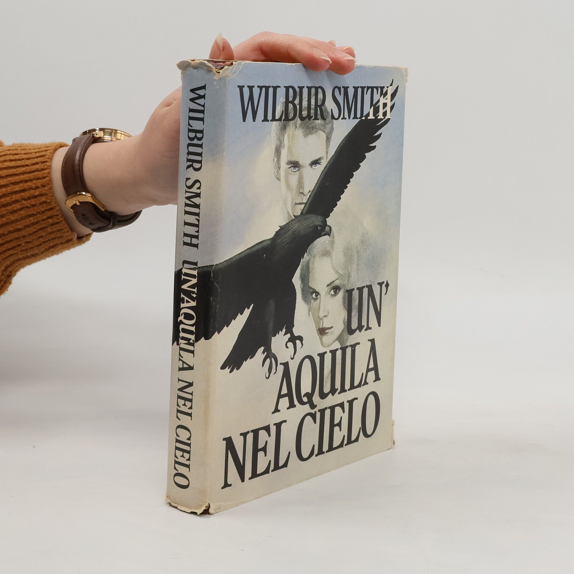 Wilbur Smith Un'aquila nel cielo