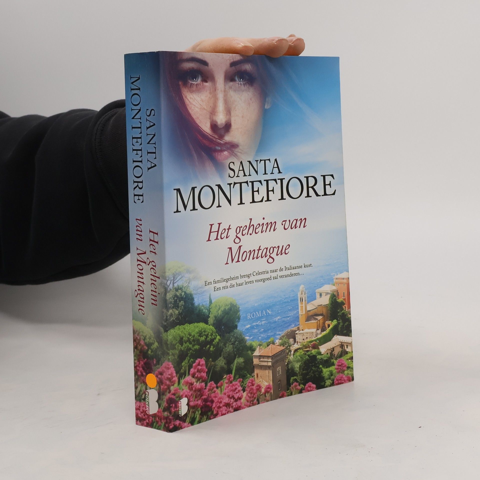 Santa Montefiore Het geheim van Montague
