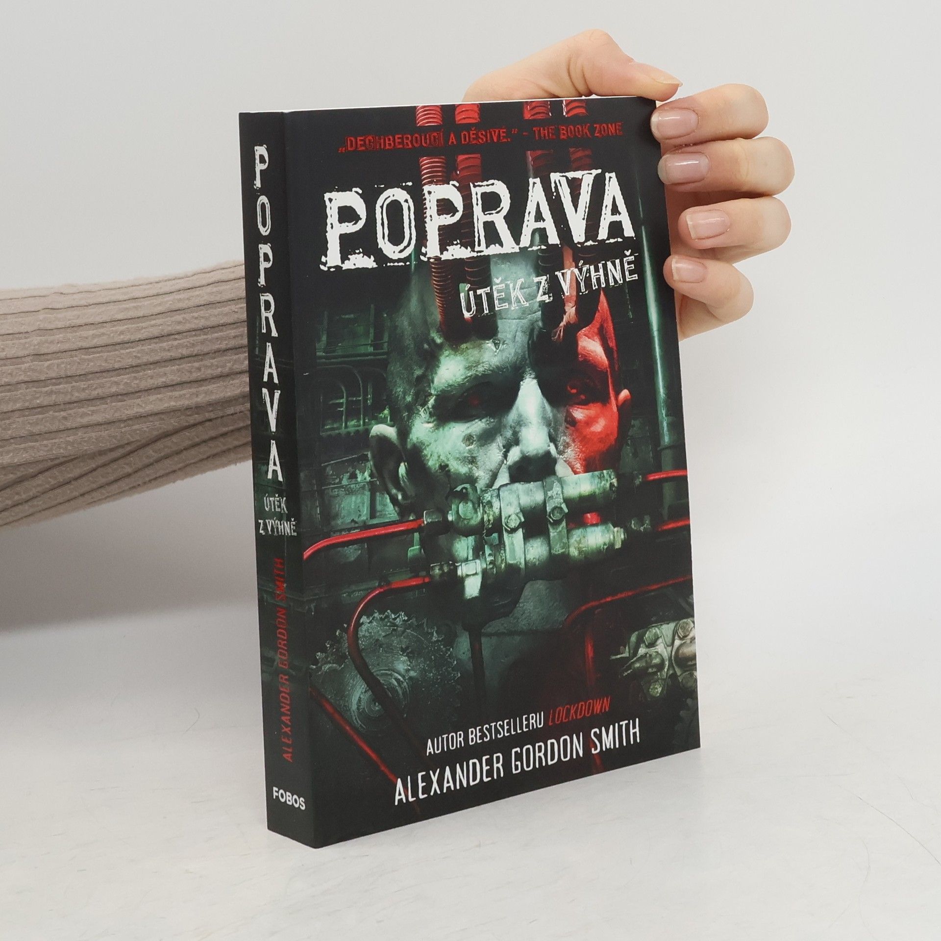 Helena Dvořáková Poprava