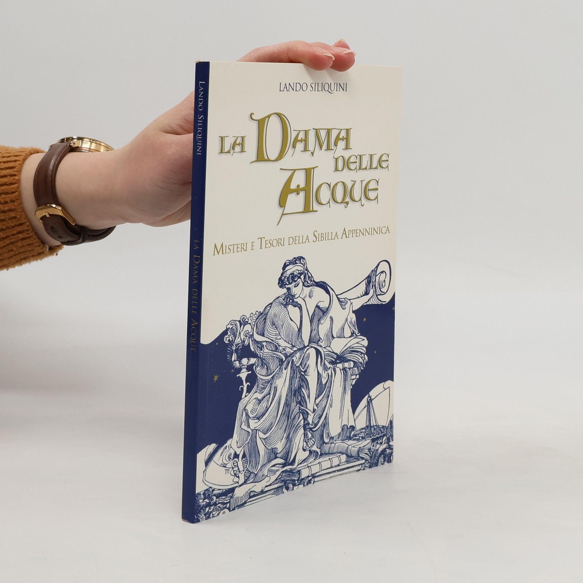 Lando Siliquini La dama delle acque. Misteri e tesori della Sibilla Appenninica
