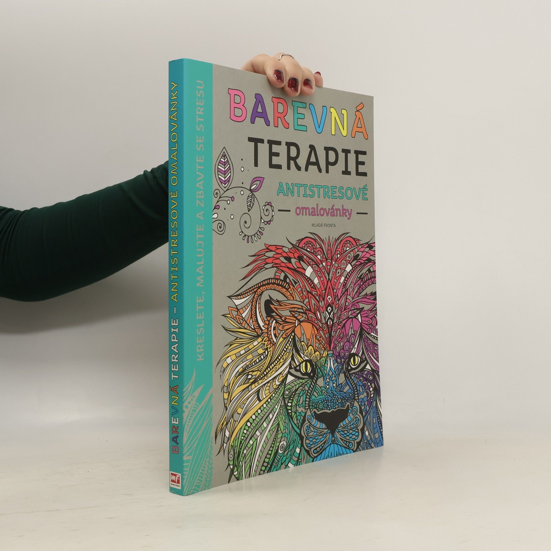 Autorenkollektiv Barevná terapie : antistresové omalovánky