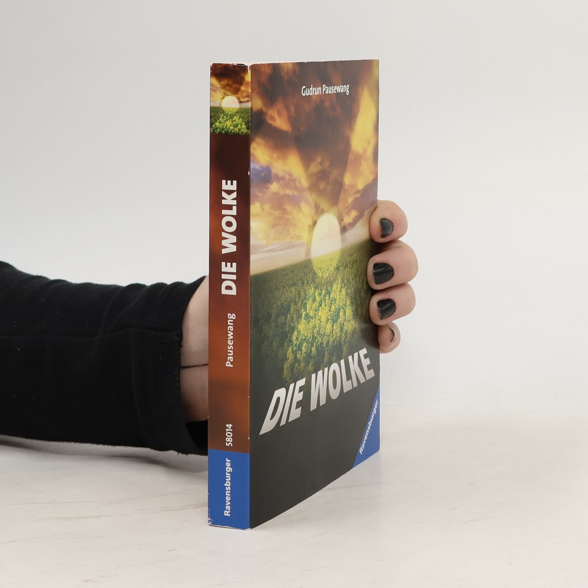 Gudrun Pausewang Die Wolke