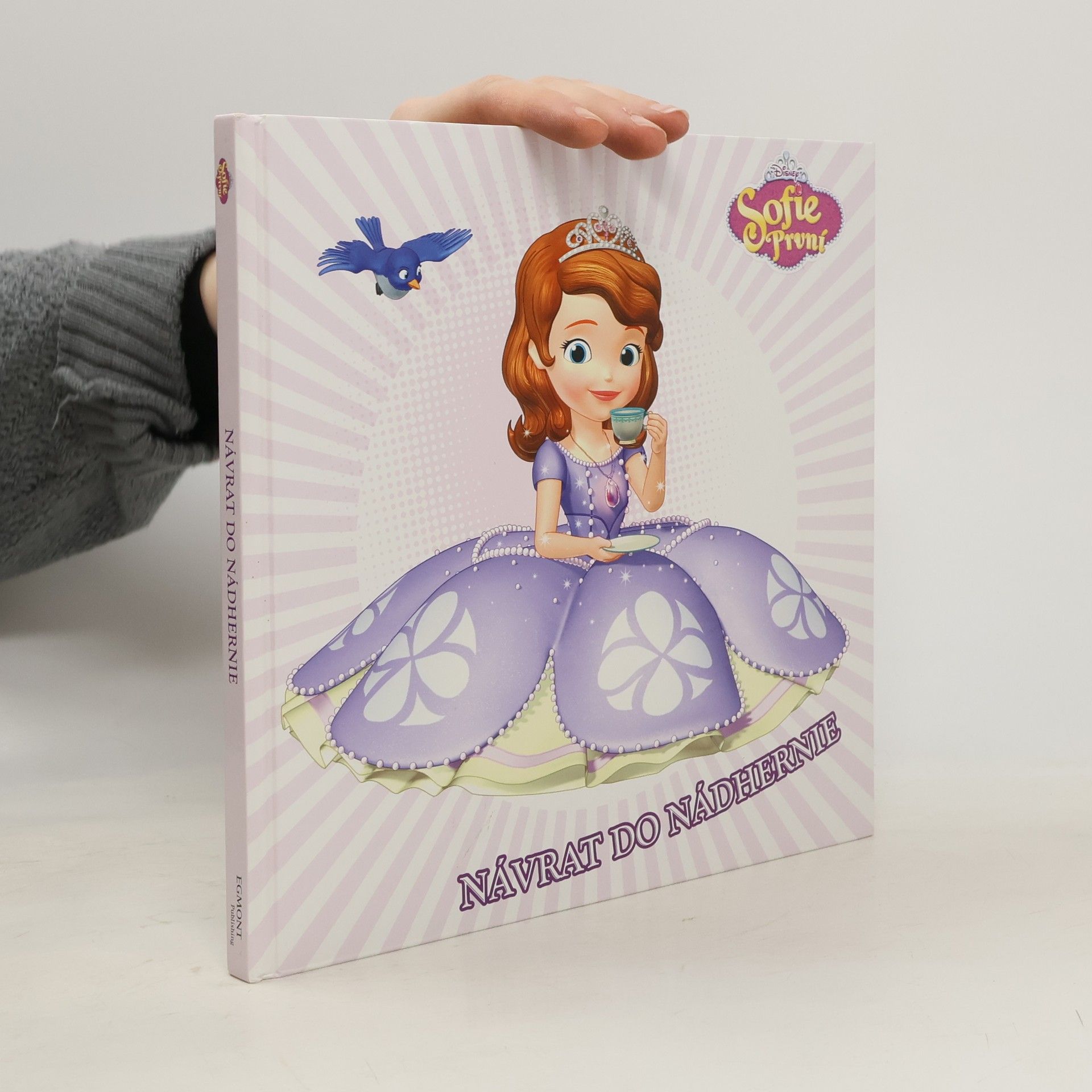 Autorenkollektiv Návrat do Nádhernie Sofie První - Návrat do Nádhernie