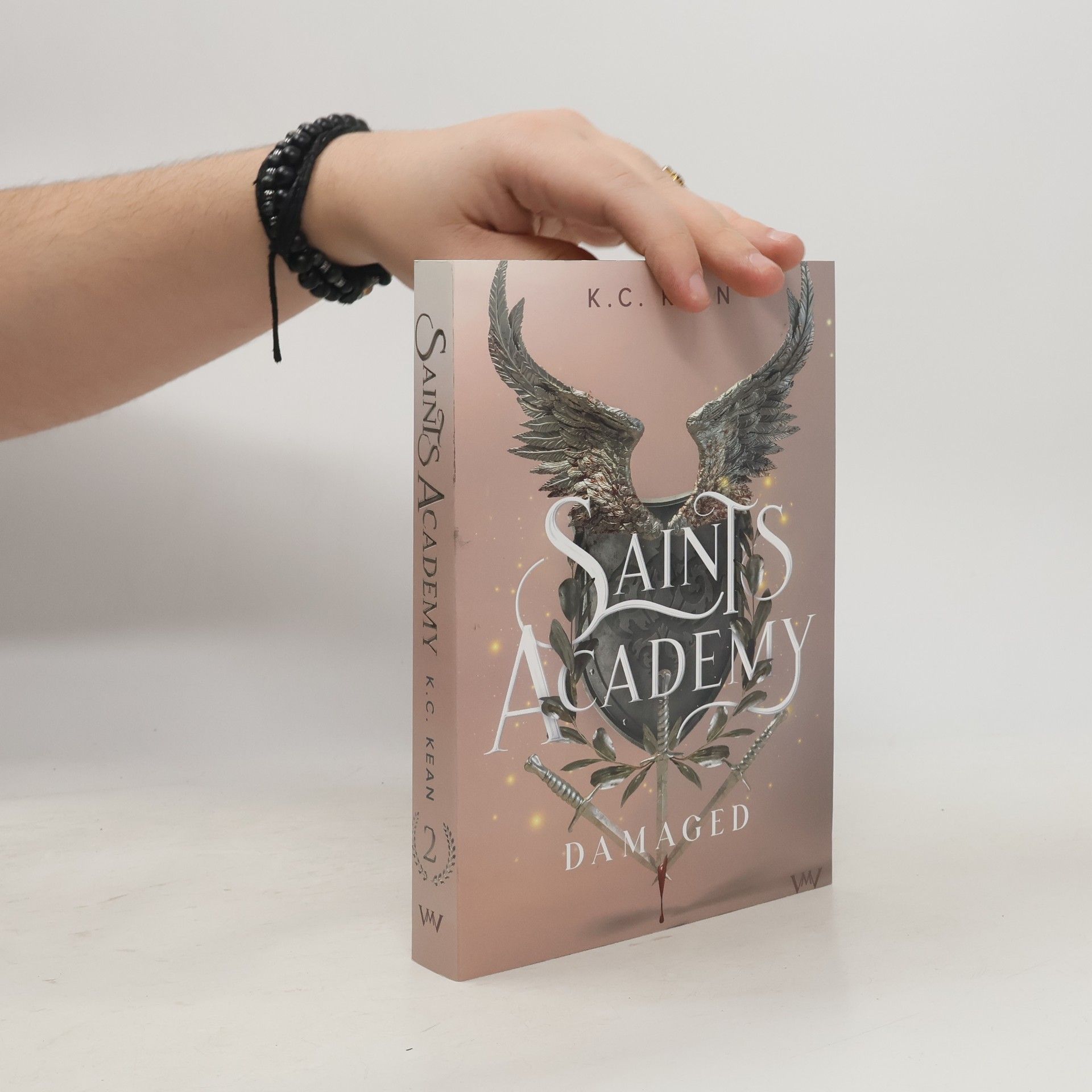 Saints Academy 2 - Damaged