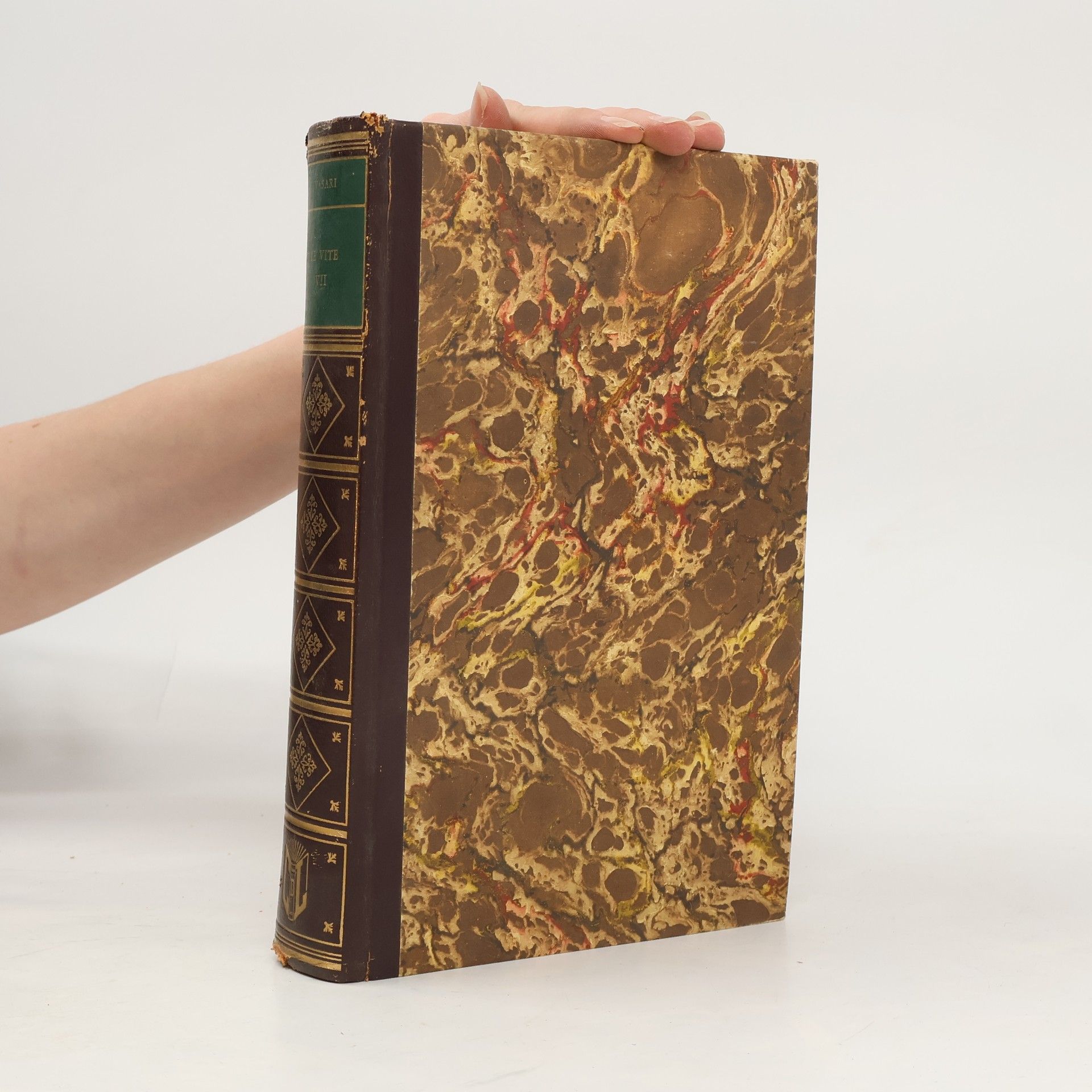 Giorgio Vasari Le Vite VII