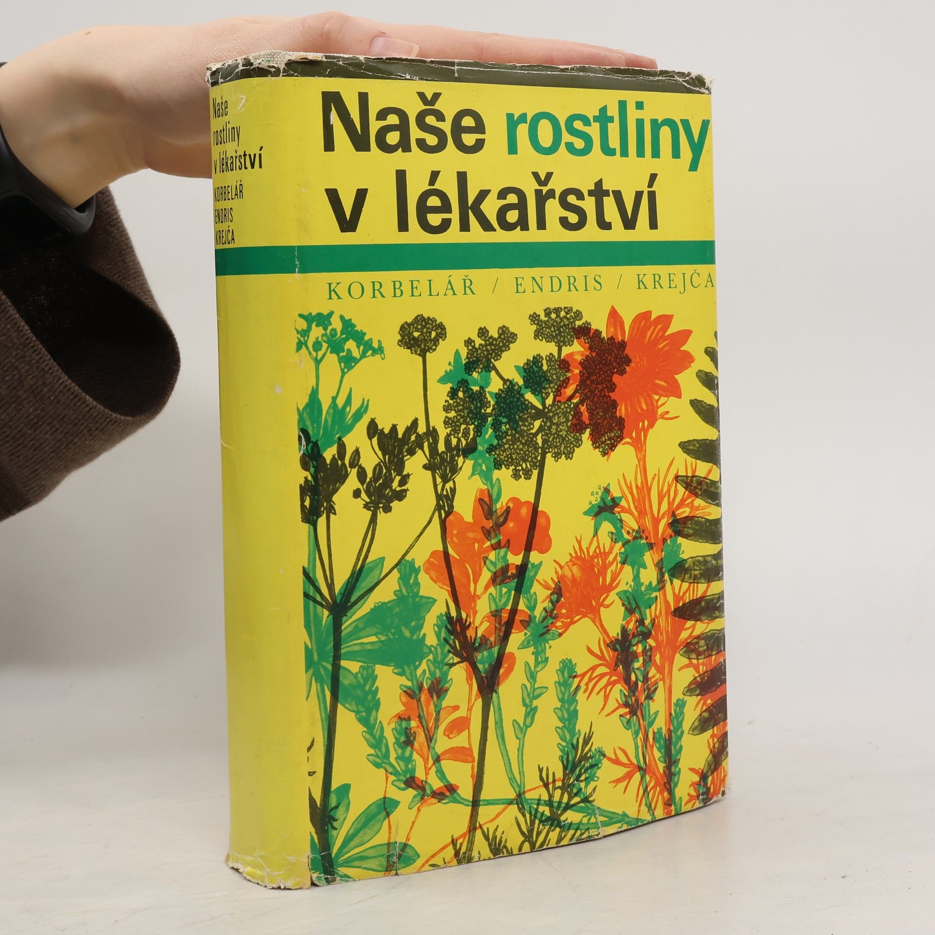 Jaroslav Korbelář Naše rostliny v lékařství