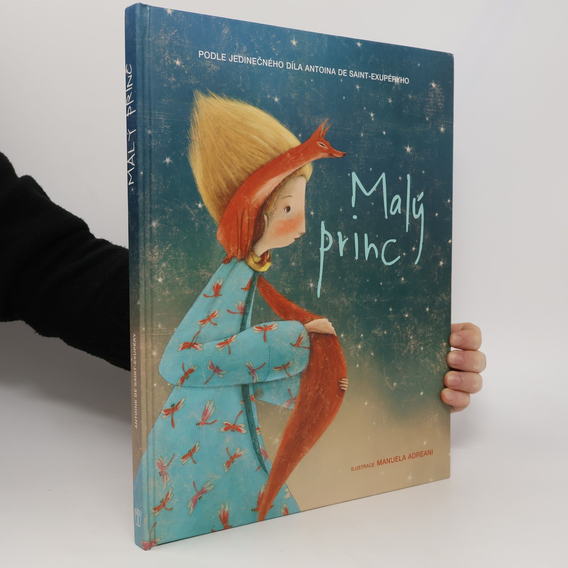 Valeria Manferto Malý princ (převyprávění)