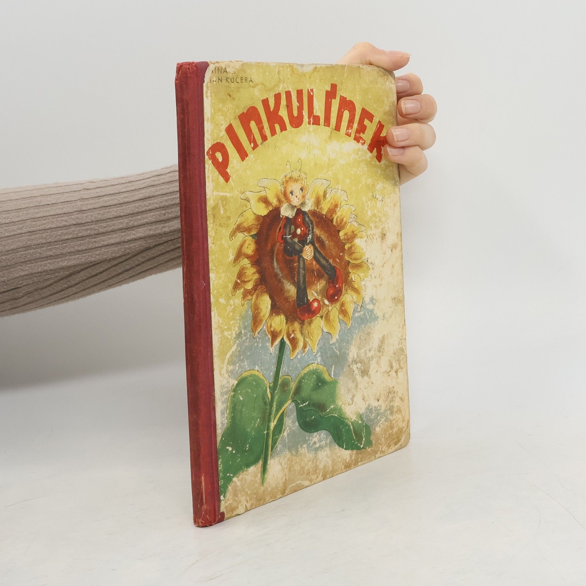 Jan Kučera Pinkulínek