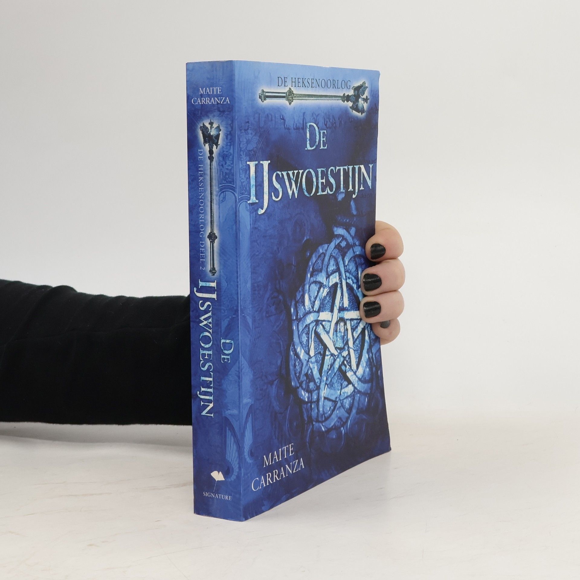 Maite Carranza De ijswoestijn