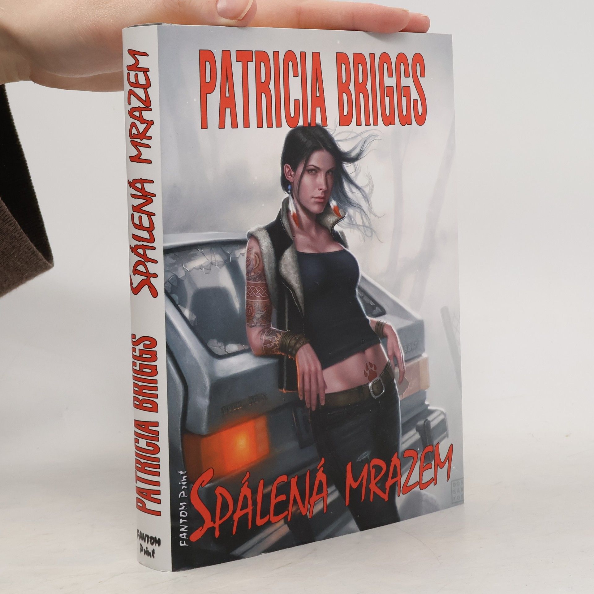 Patricia Briggs Spálená mrazem