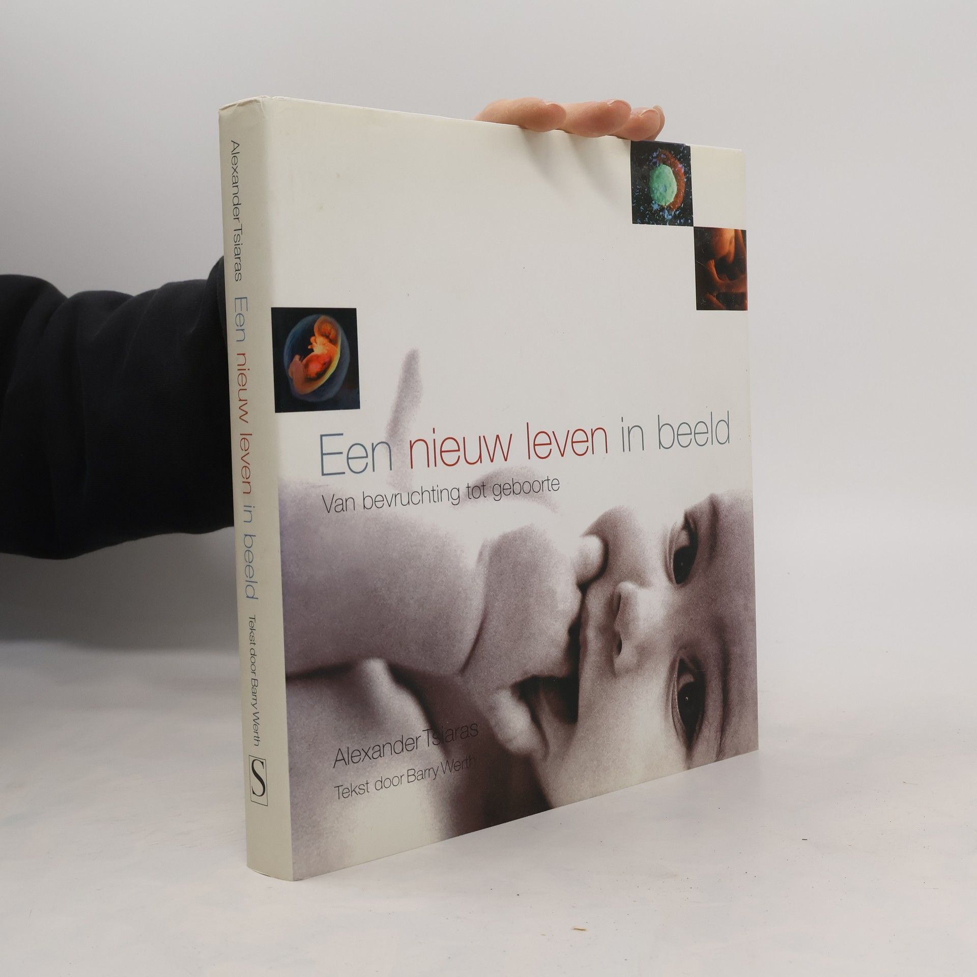 Een nieuw leven in beeld