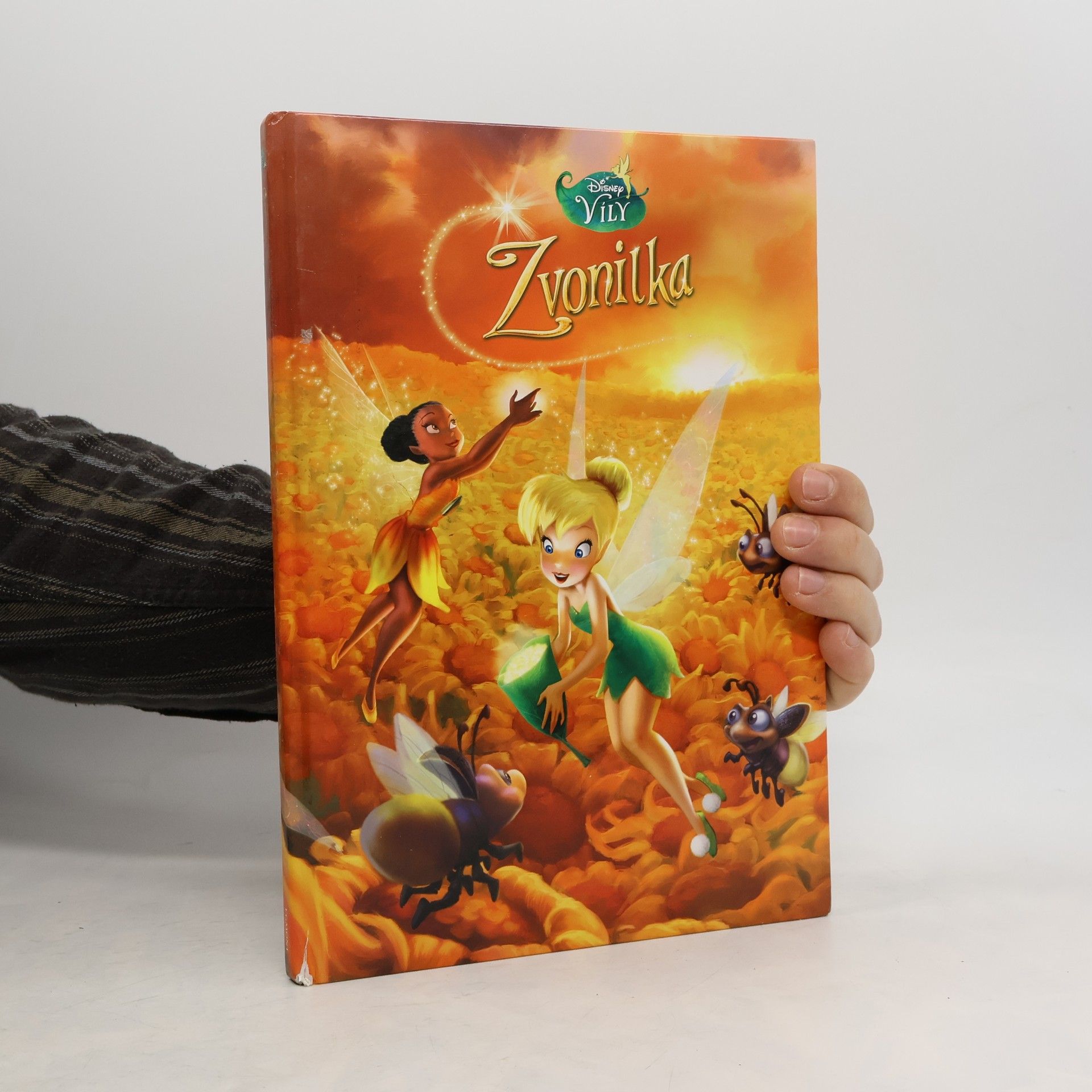 Lisa Ann Marsoli Zvonilka