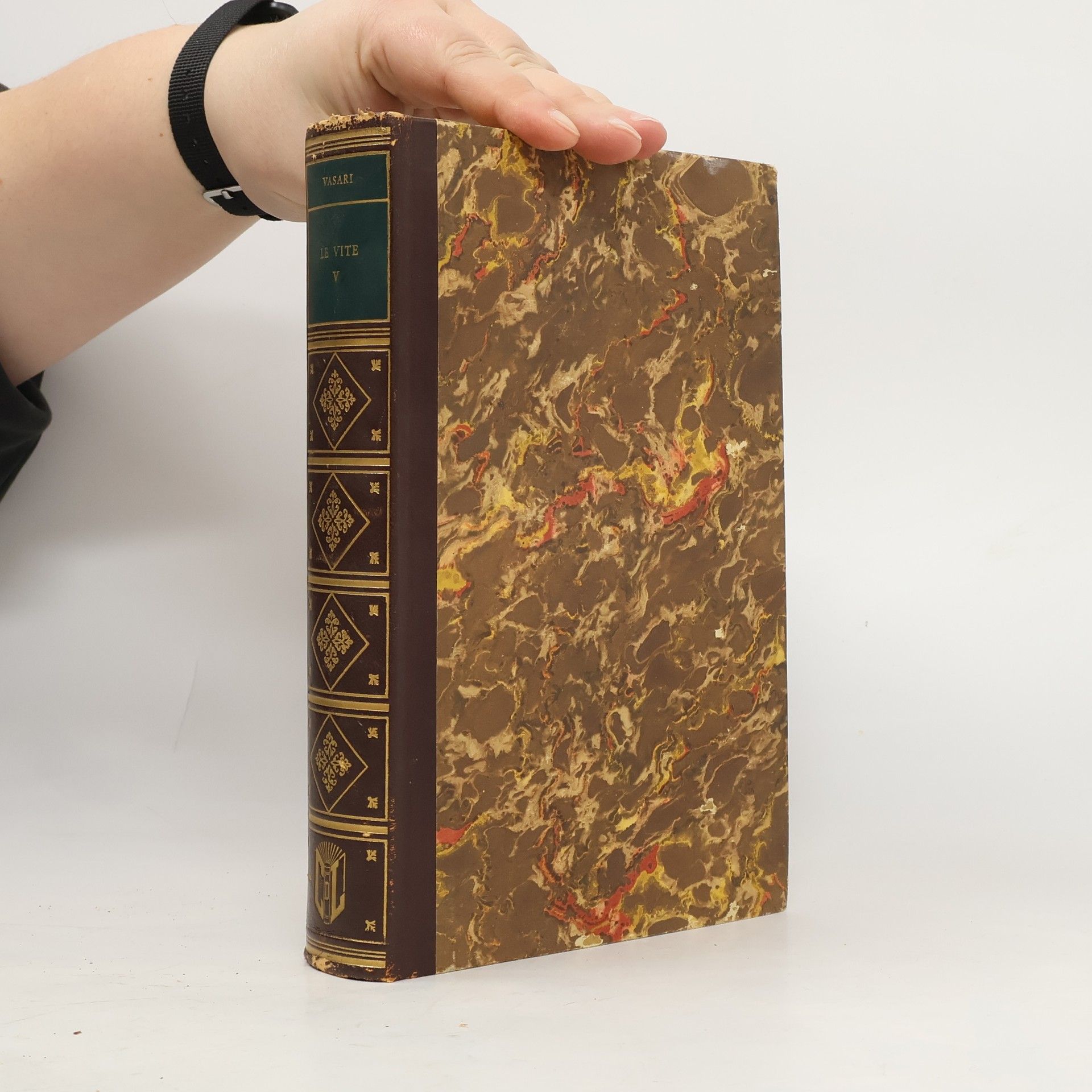 Giorgio Vasari Le Vite V