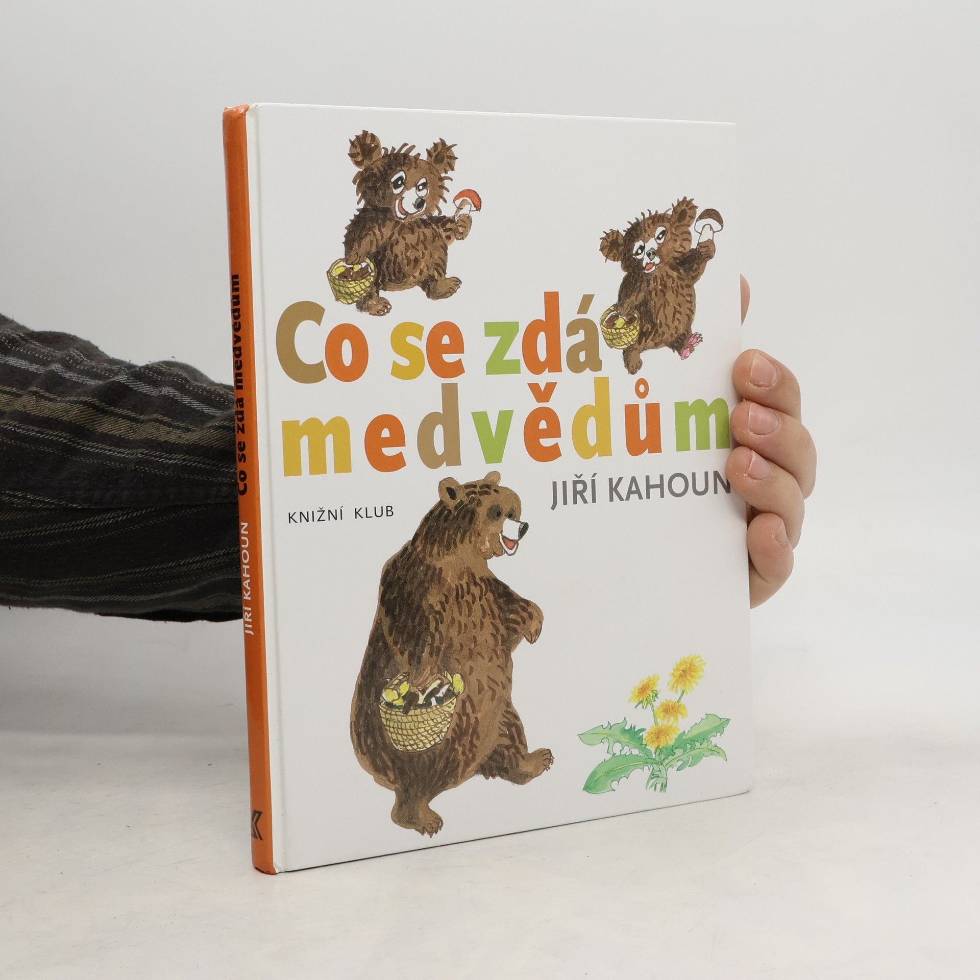 Jiří Kahoun Co se zdá medvědům