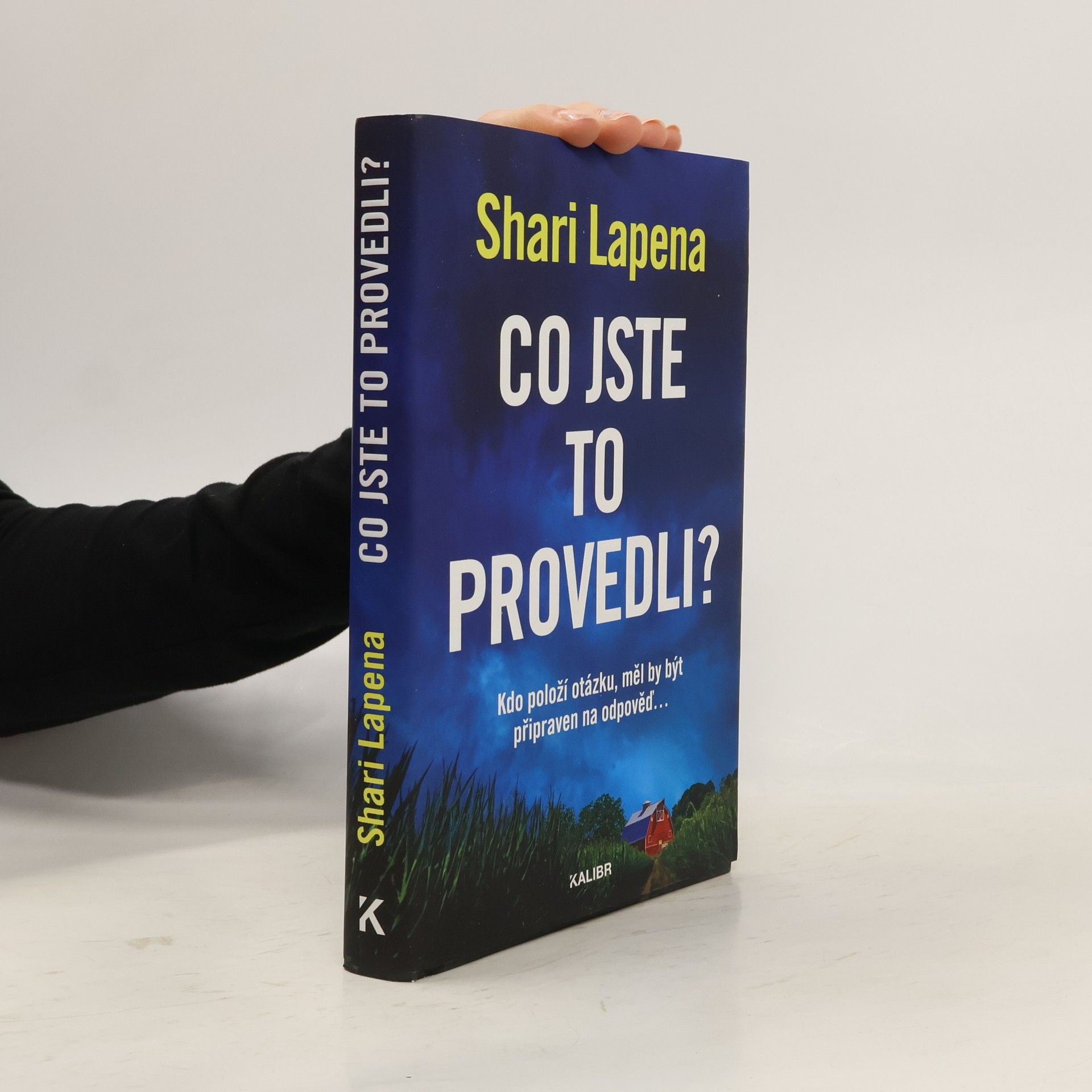 Shari Lapena Co jste to provedli?