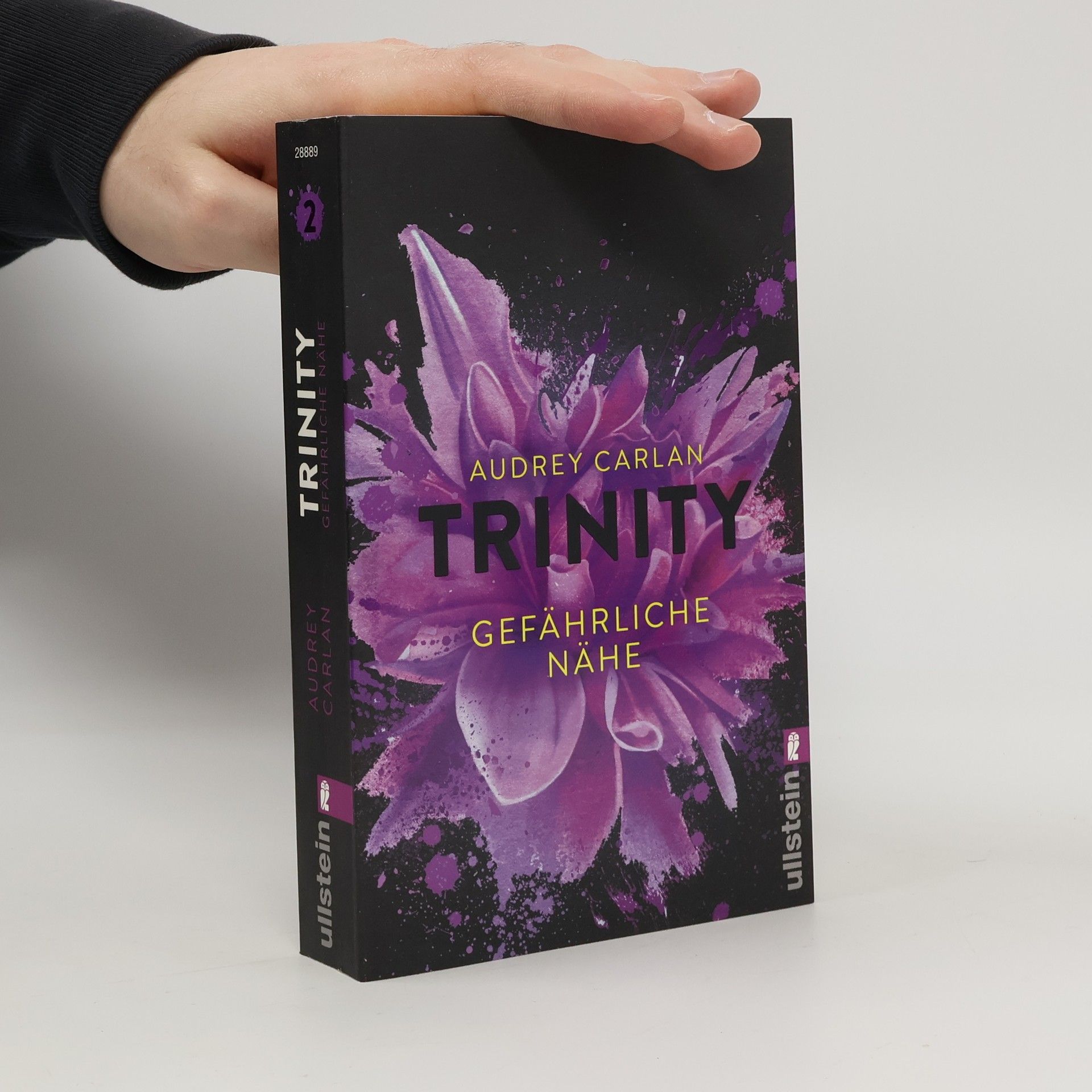 Audrey Carlan Trinity: Gefährliche Nähe