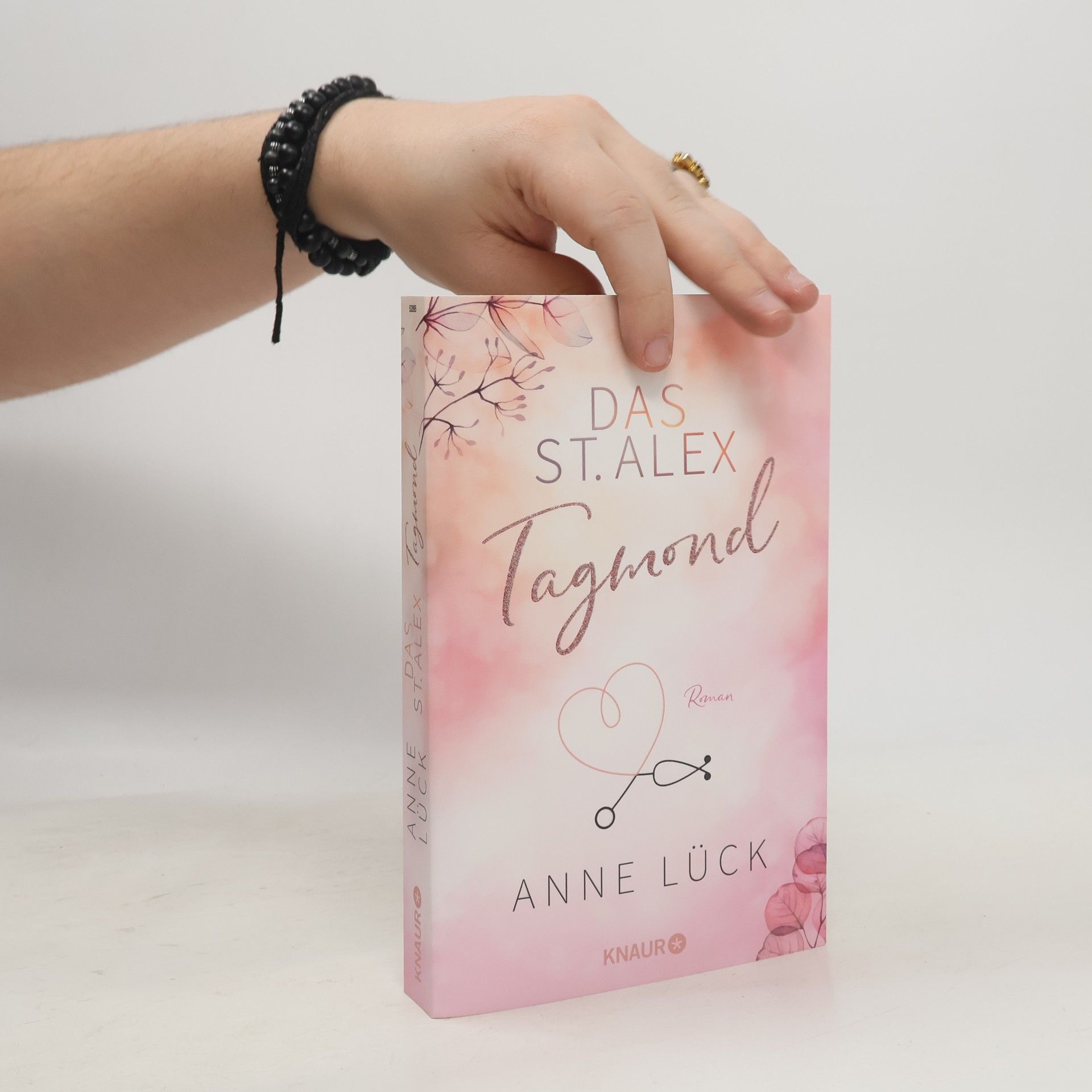 Anne Lück Das St. Alex - Tagmond