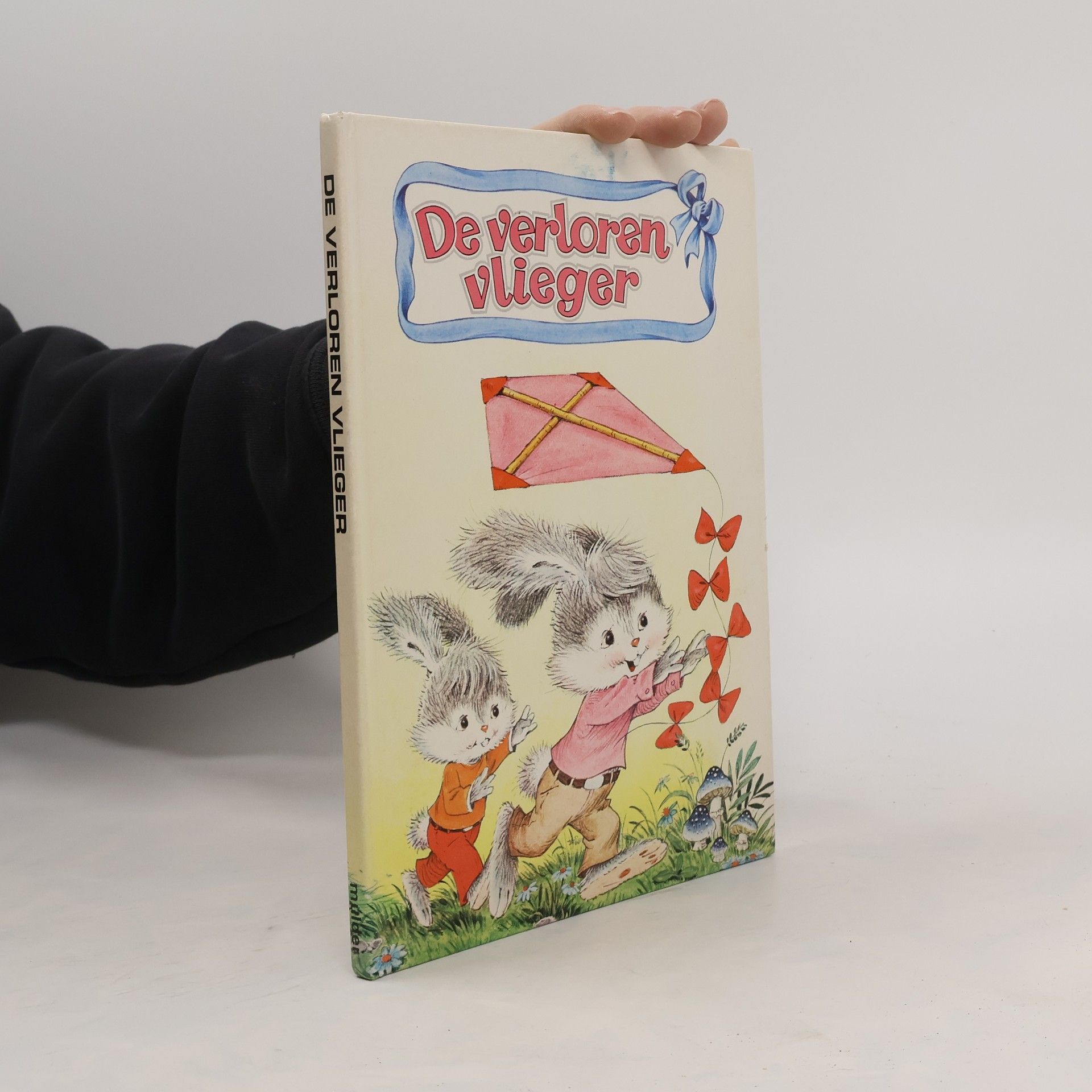 Collectif d'auteurs De verloren vlieger