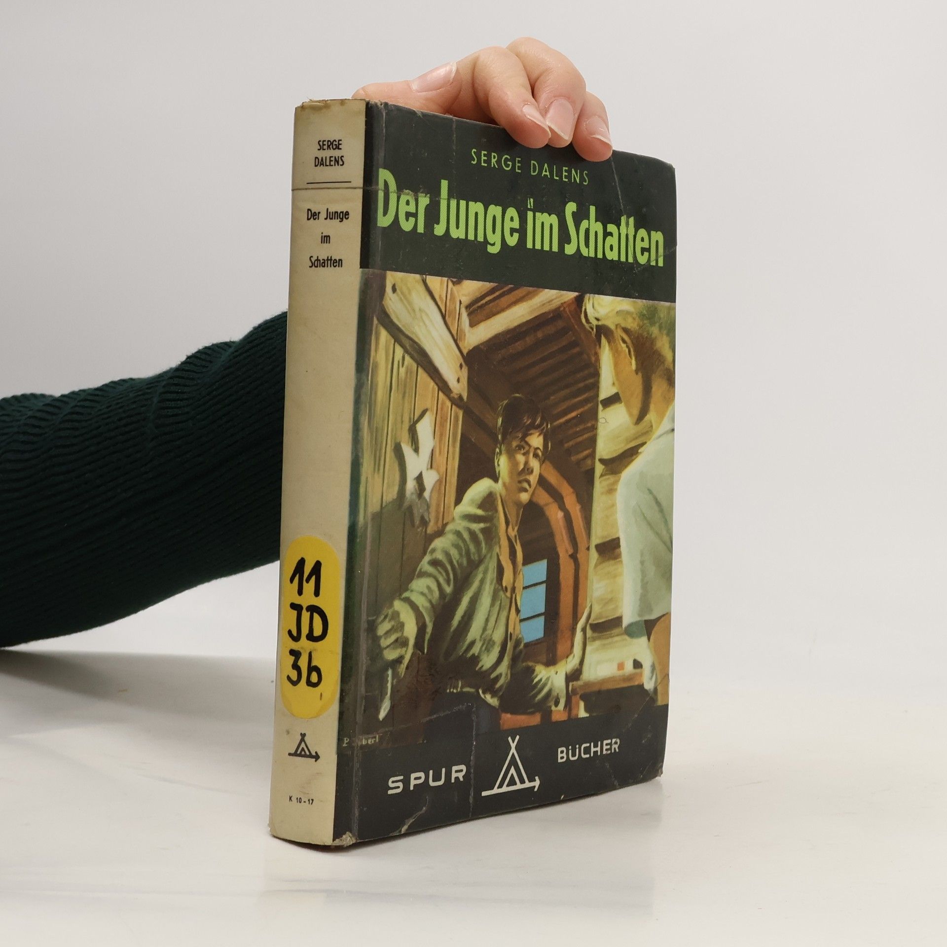 Der Junge im Schatten