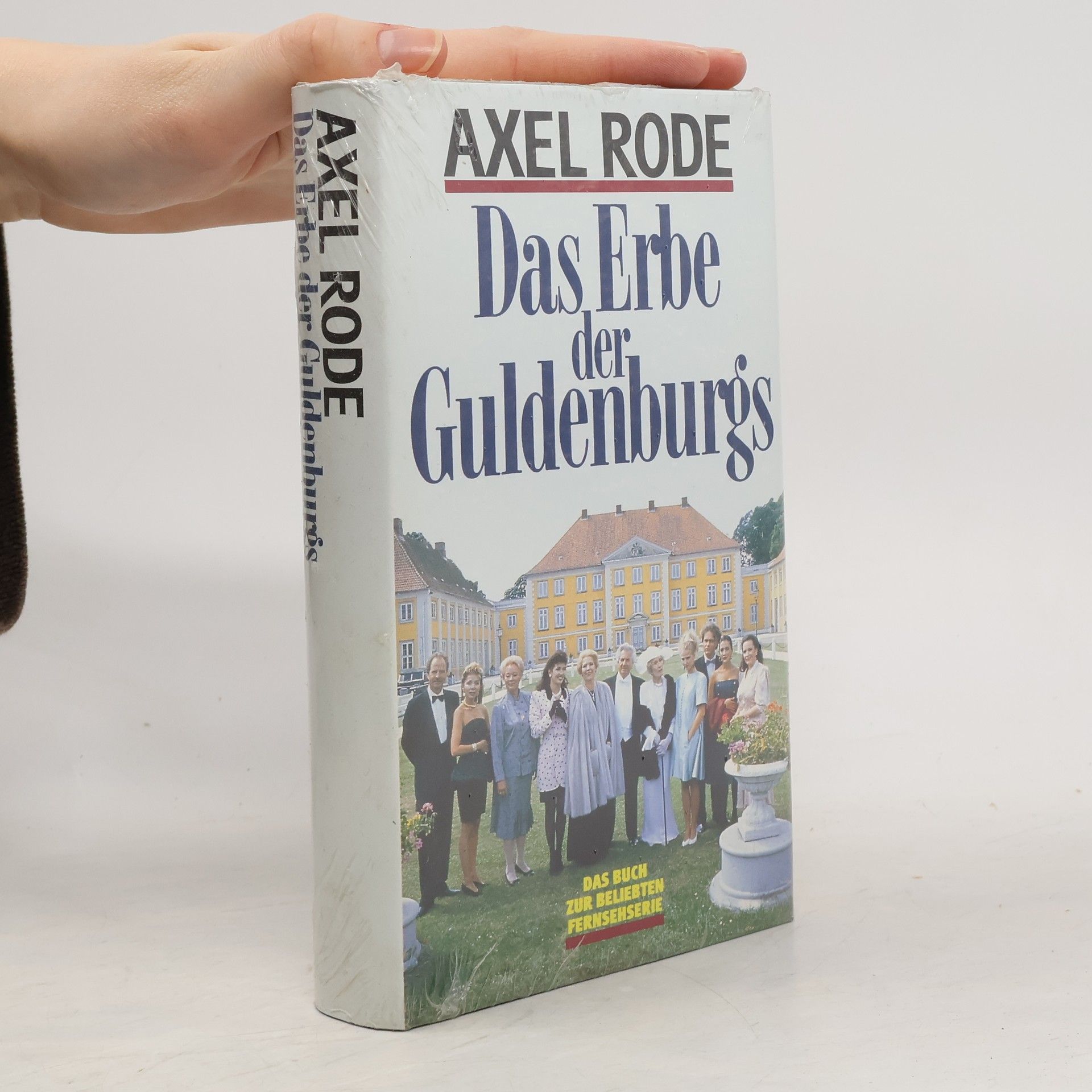 Axel Rode Das Erbe der Guldenburgs