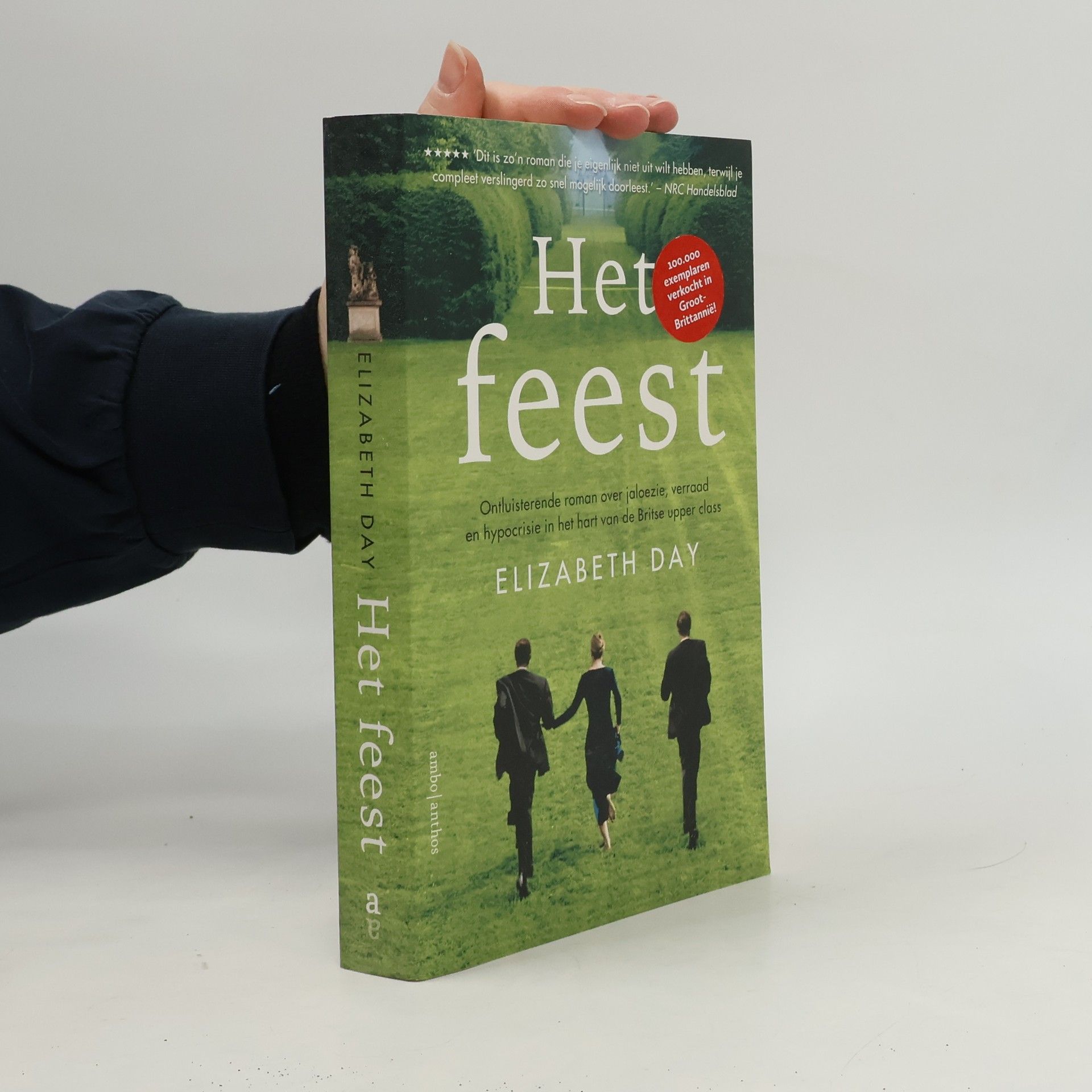 Eefje Bosch Het feest