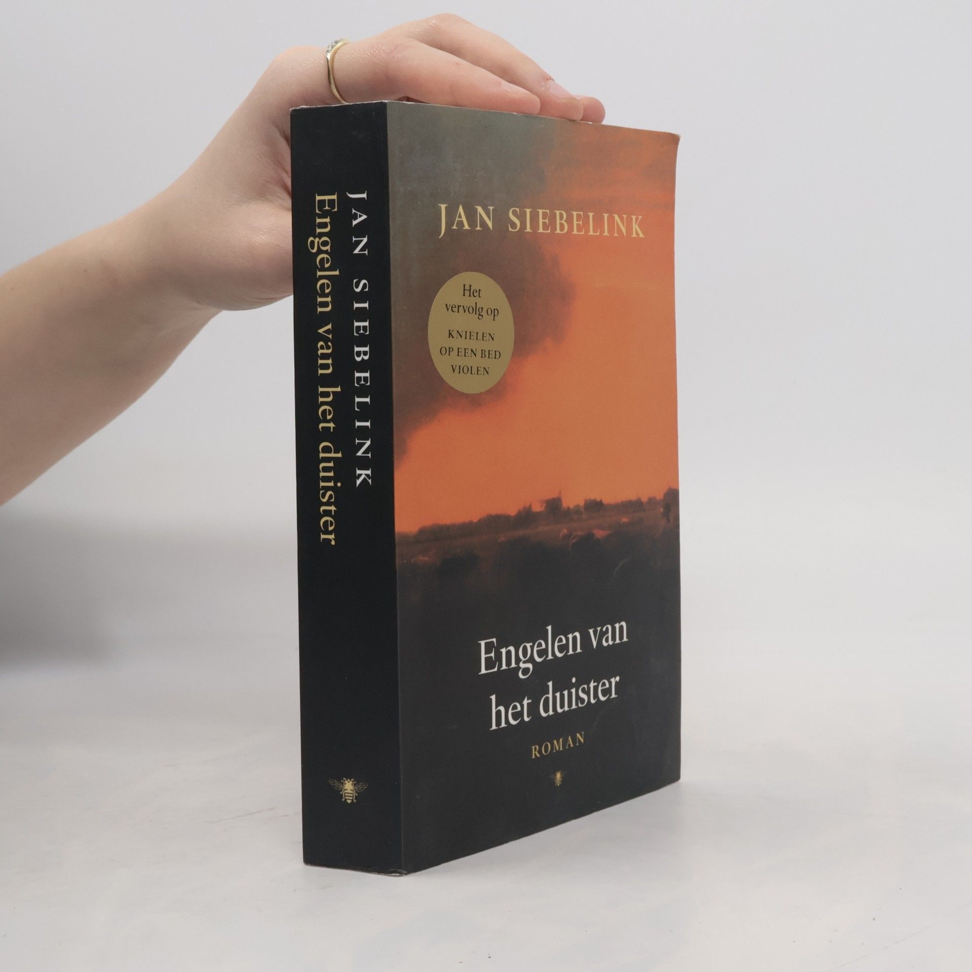 Jan Siebelink Engelen van het duister
