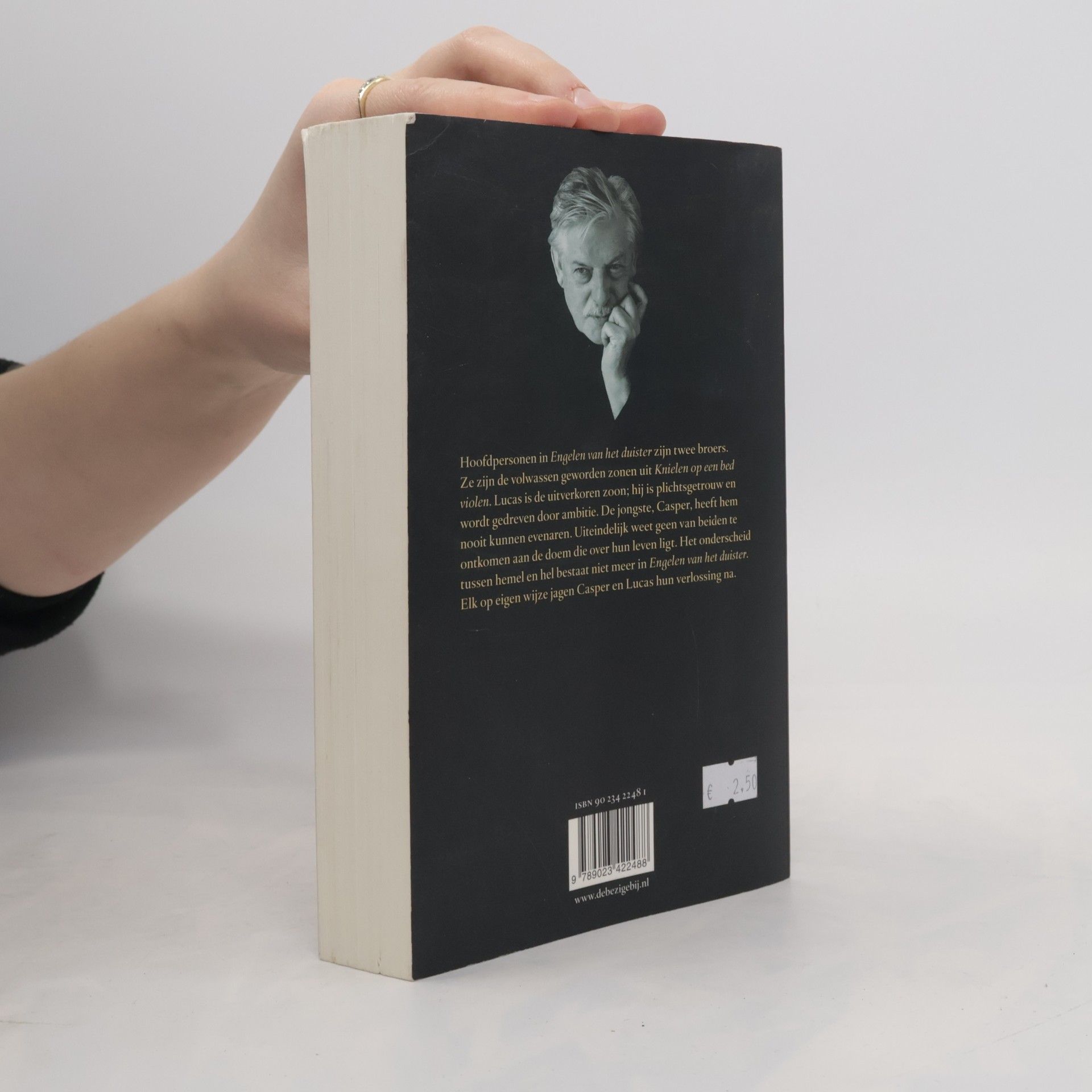 Jan Siebelink Engelen van het duister