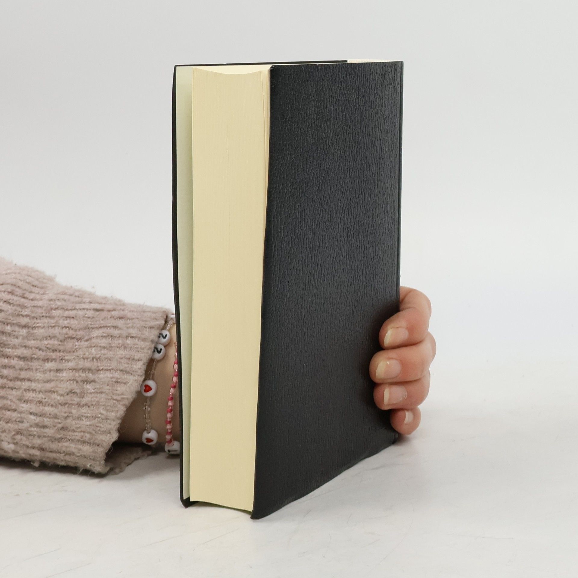 Die Heilige Schrift