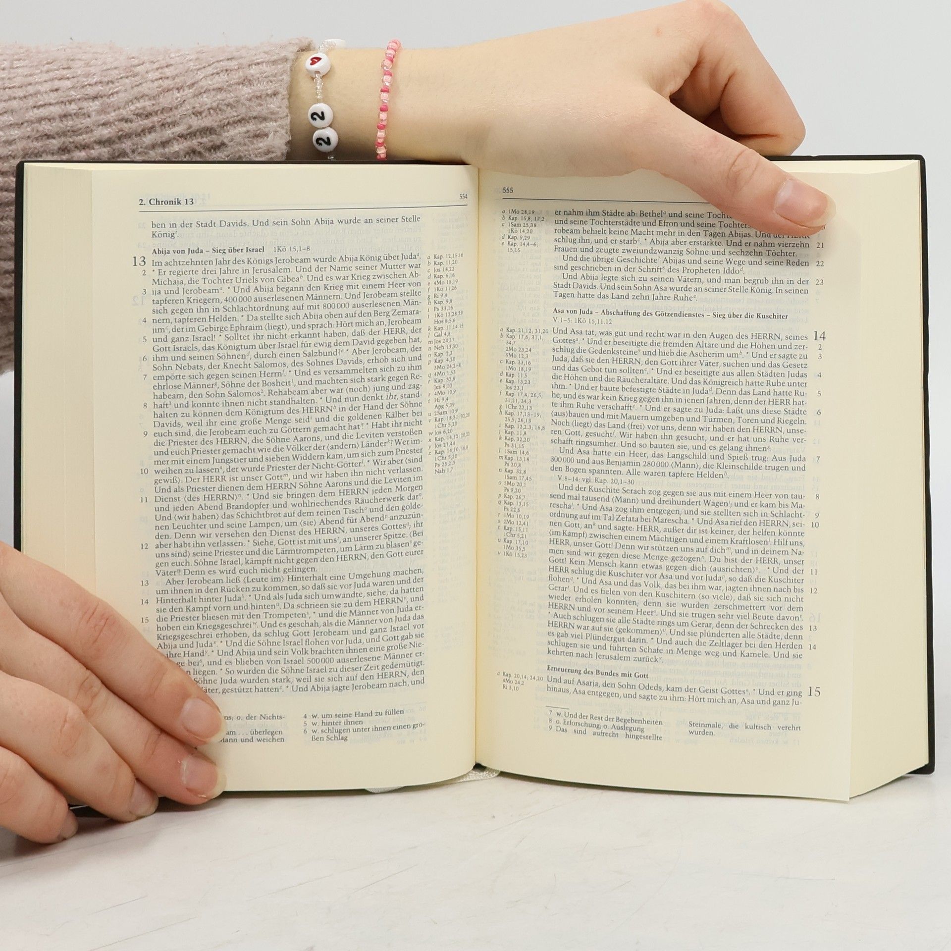 Die Heilige Schrift