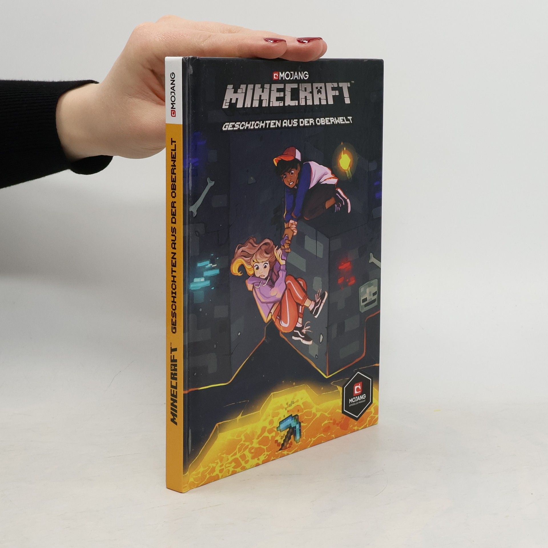 Minecraft, Geschichten aus der Oberwelt