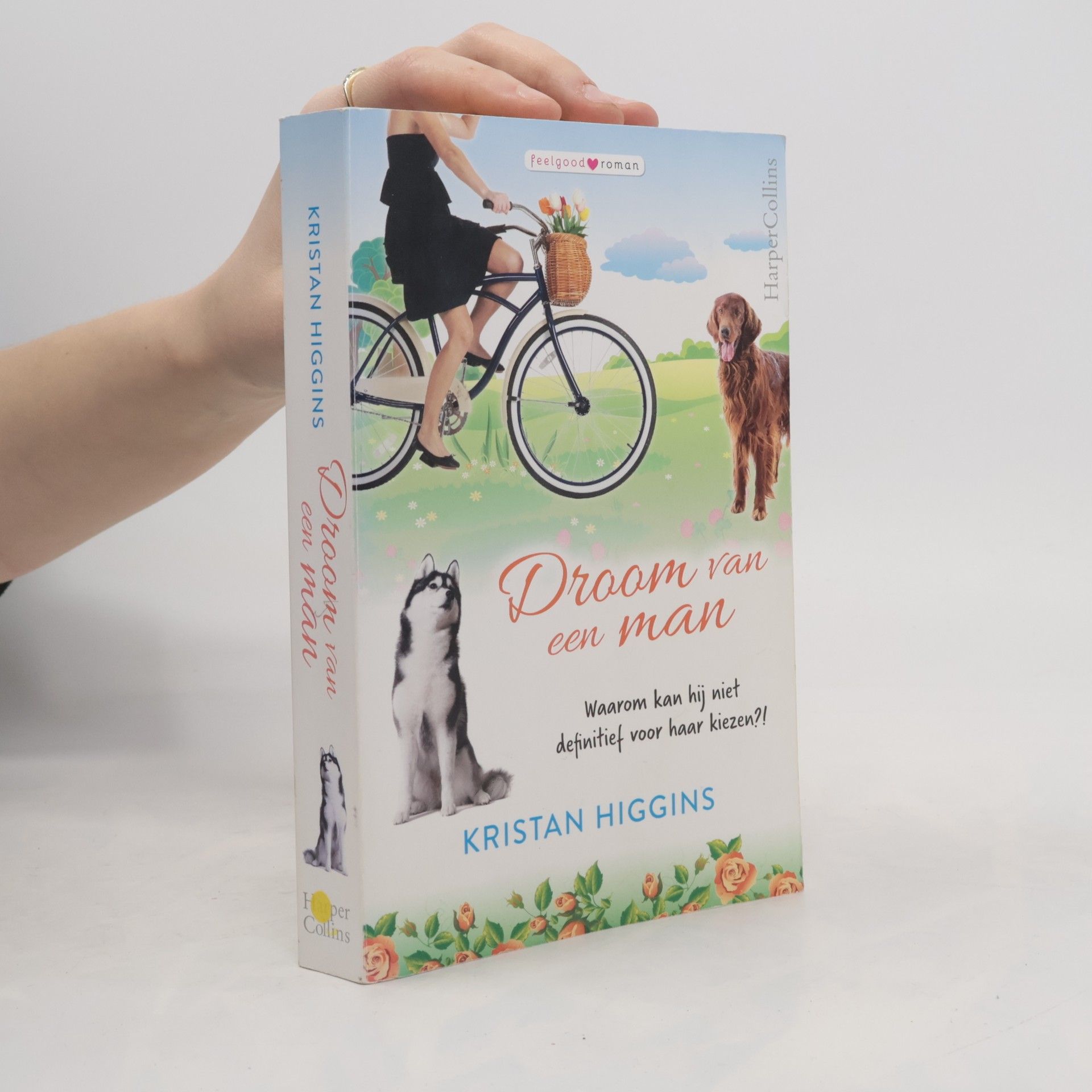 Kristan Higgins Droom van een man