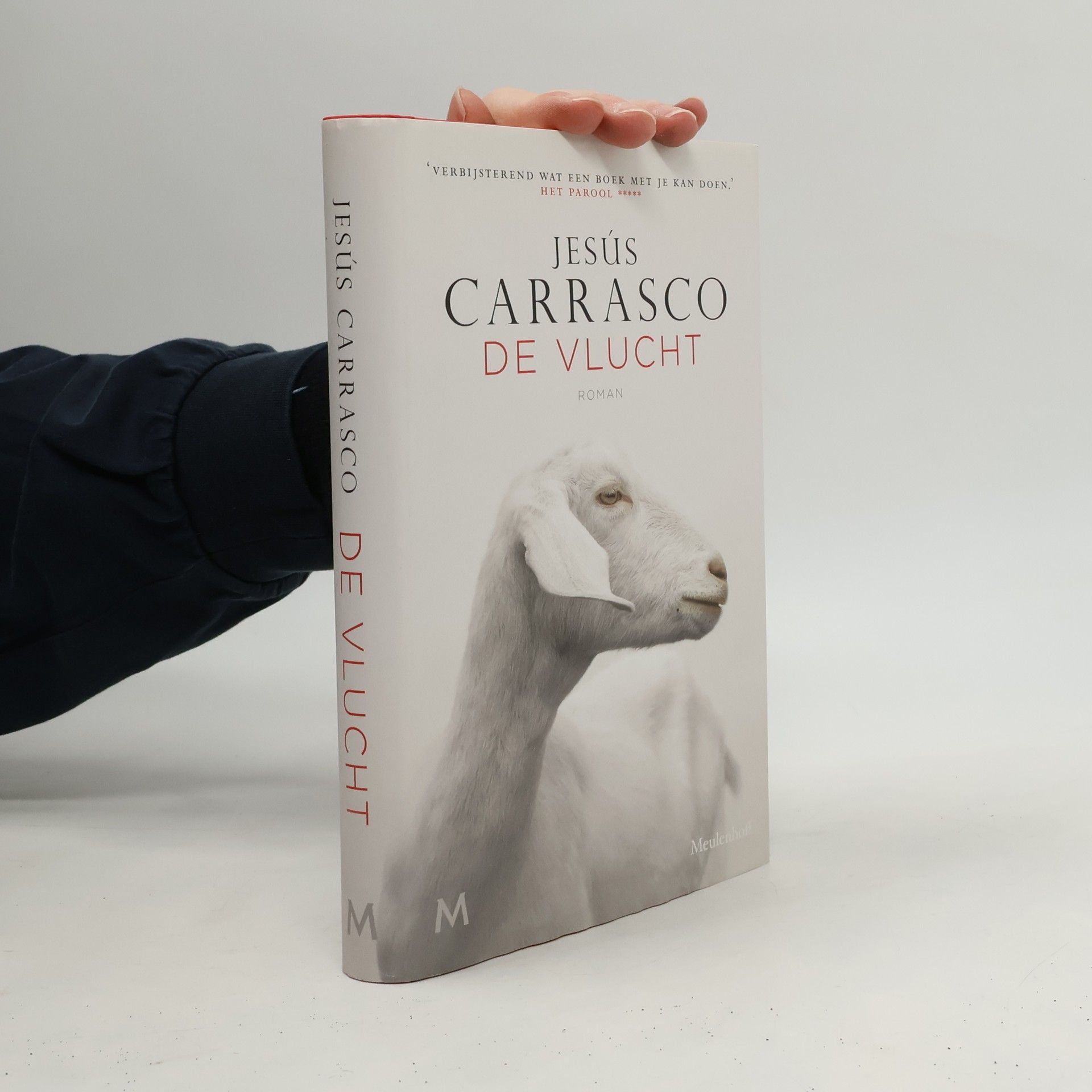 Arie van der Wal De vlucht