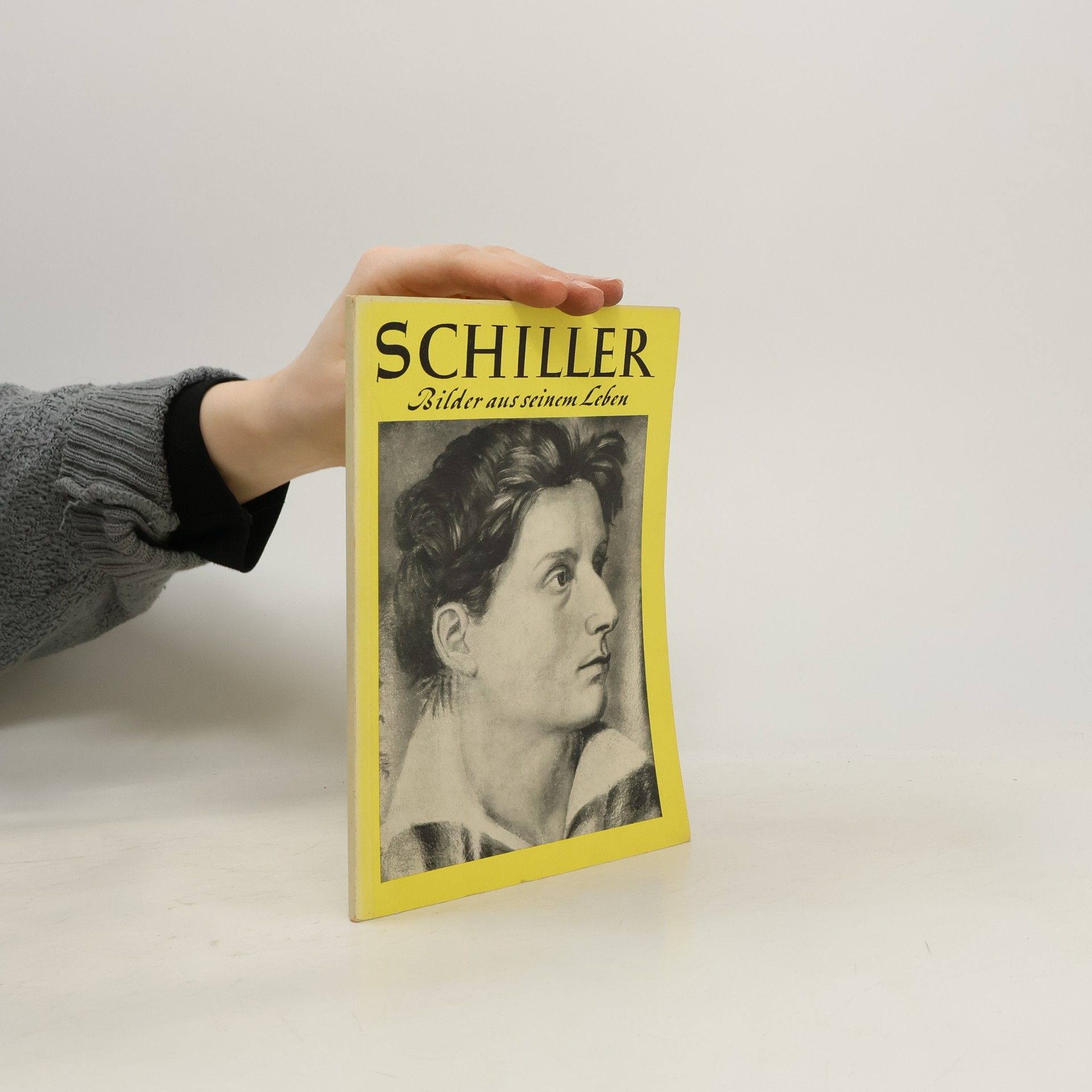 Hermann Binder Schiller. Bilder aus seinem Leben