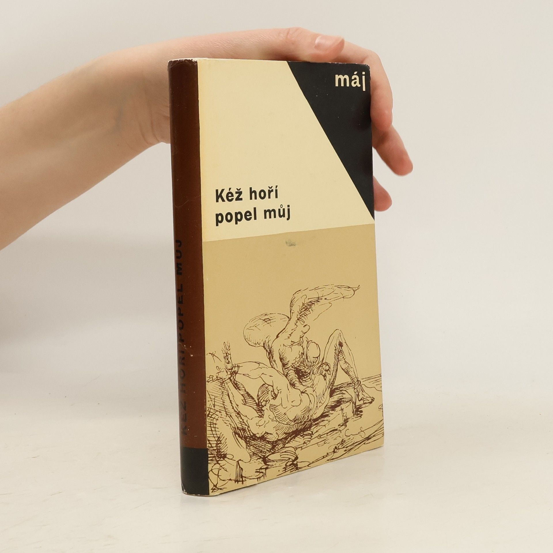 Václav Černý Kéž hoří popel můj