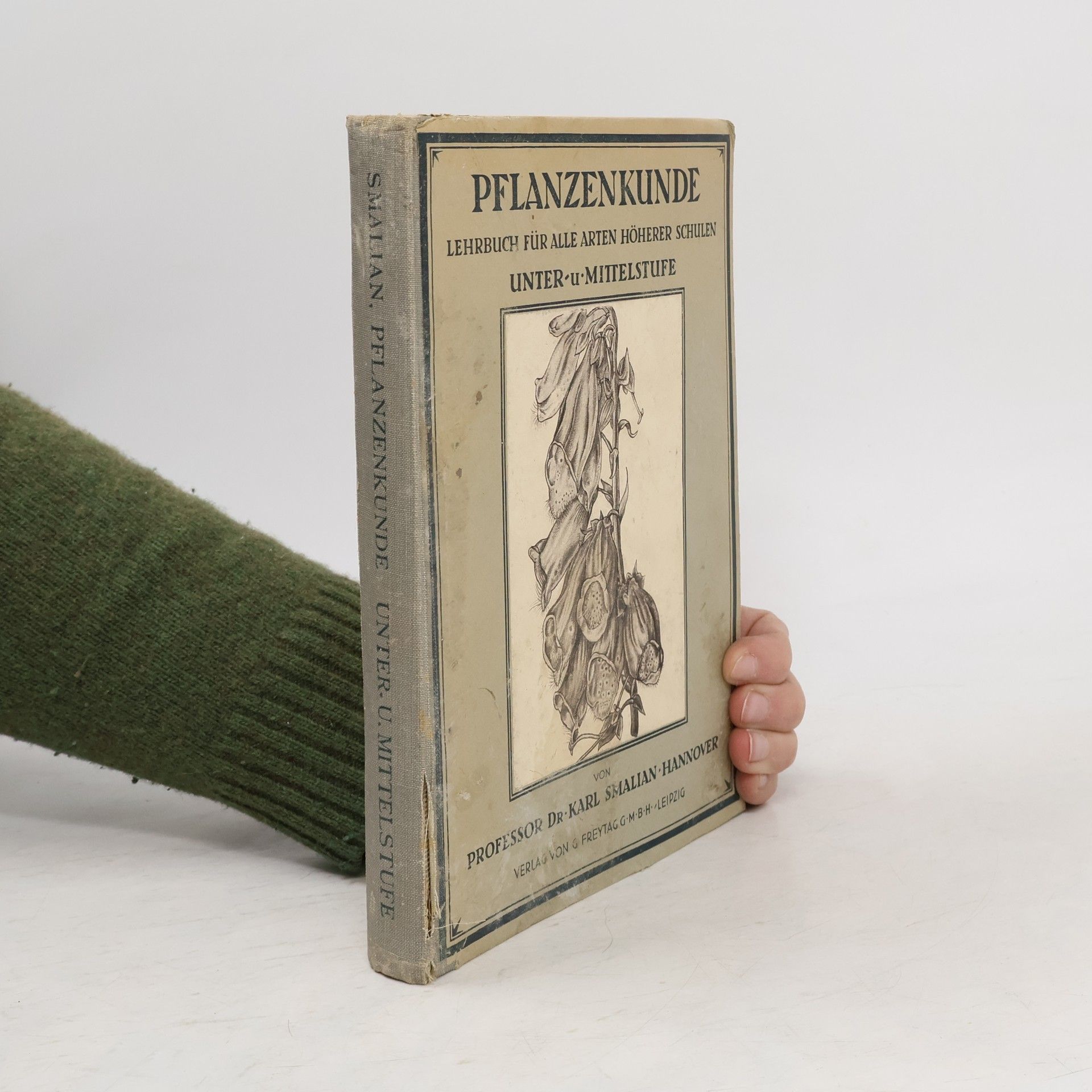 Karl Smalian Lehrbuch der Pflanzenkunde