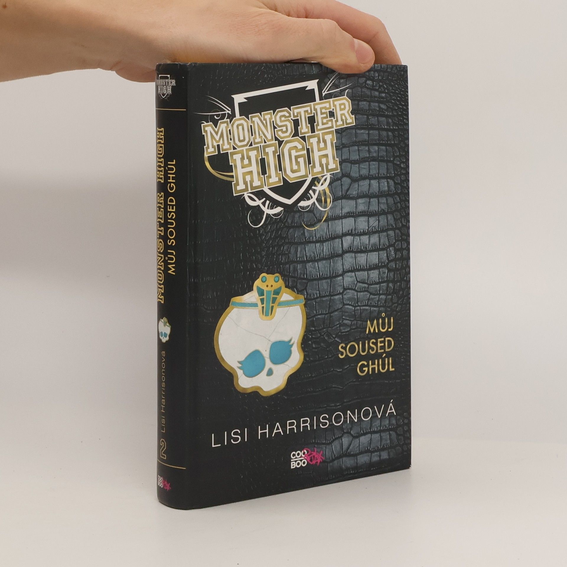 Lisi Harrison Můj soused Ghúl. Monster High 2