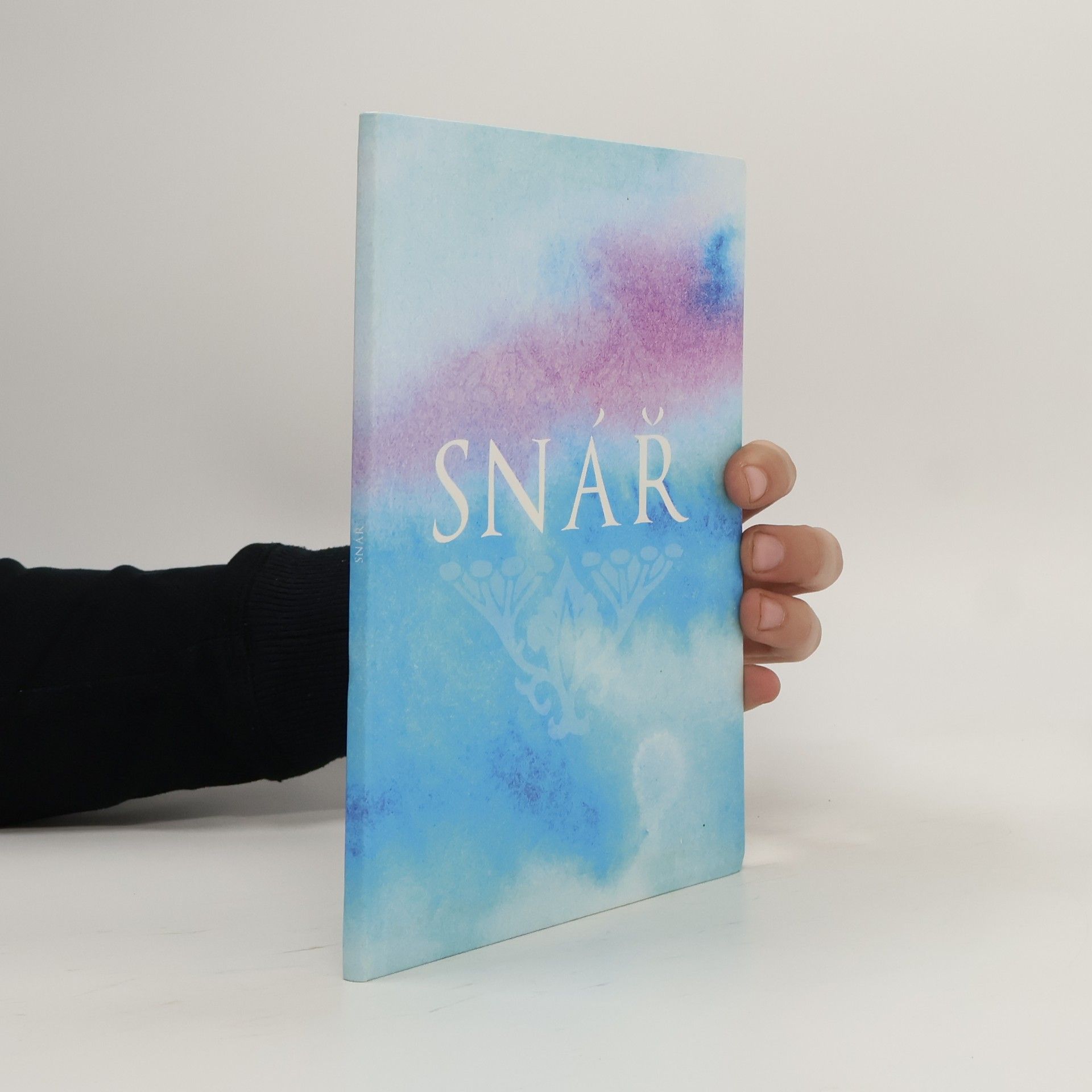 Kolektív autorov Snář