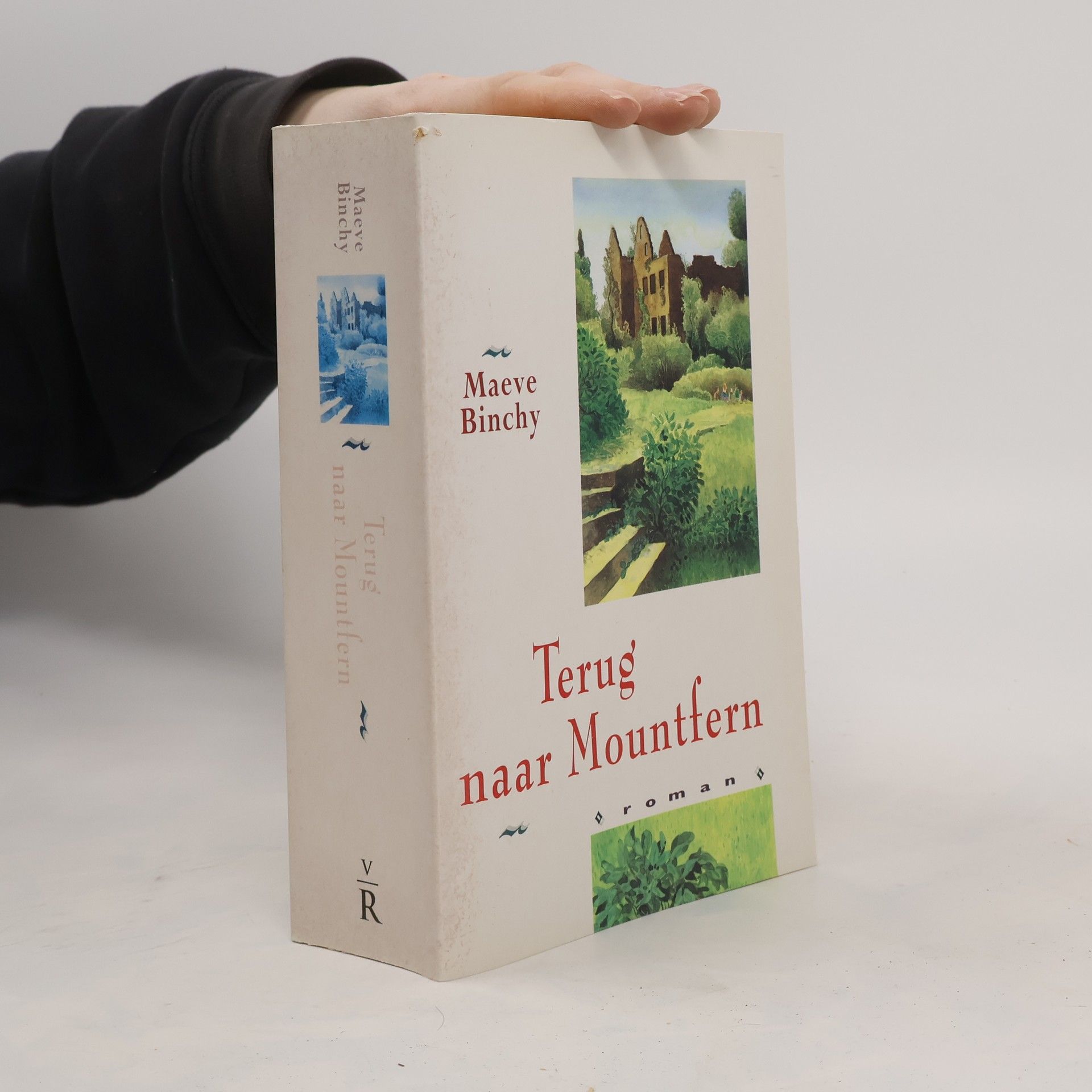 Maeve Binchy Terug naar Mountfern