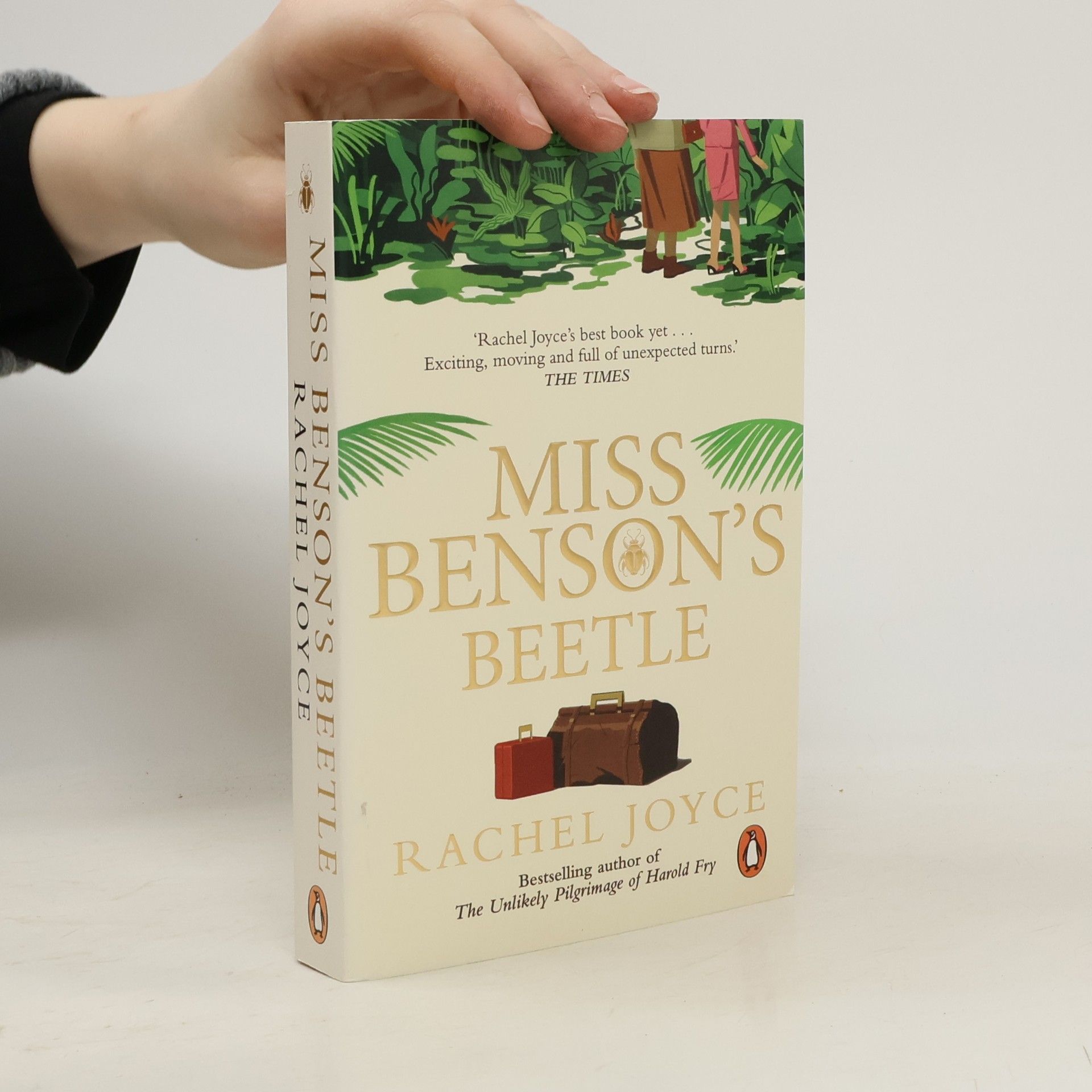 Rachel Joyce Miss Benson´s Beetle