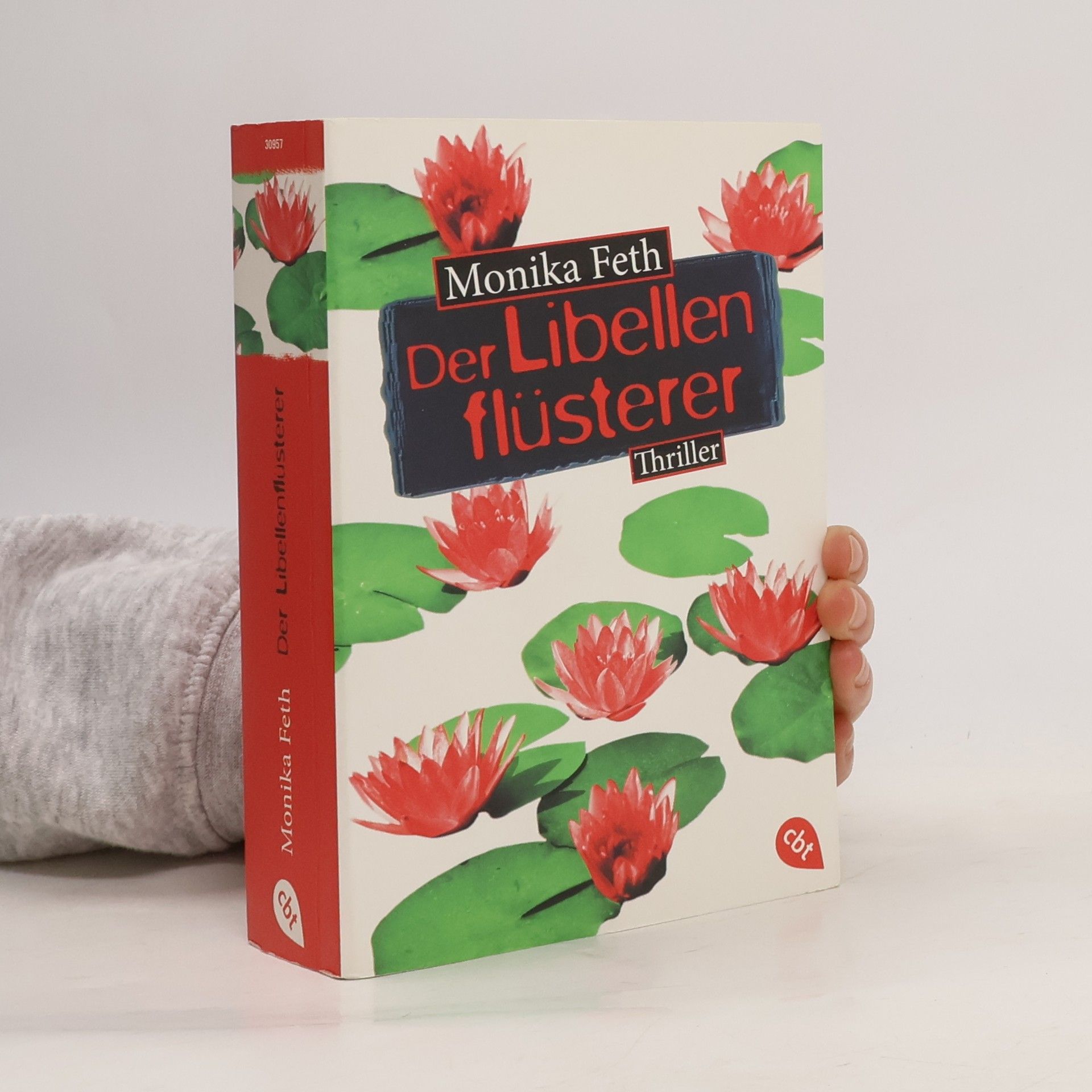 Monika Feth Der Libellenflüsterer