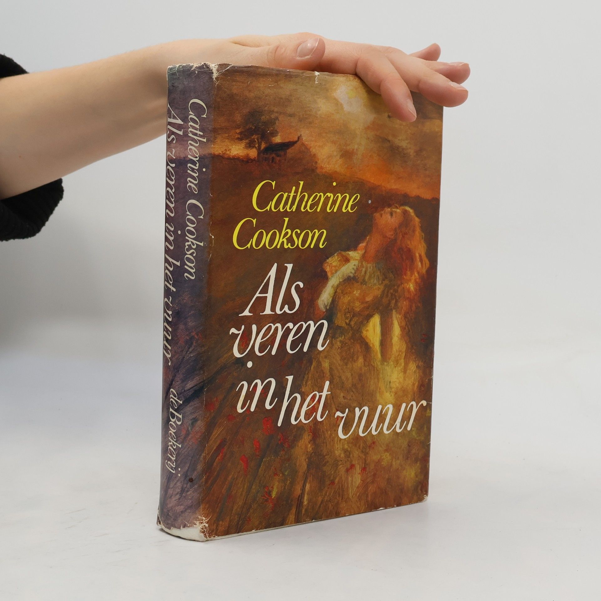 Catherine Anne Cookson Als veren in het vuur