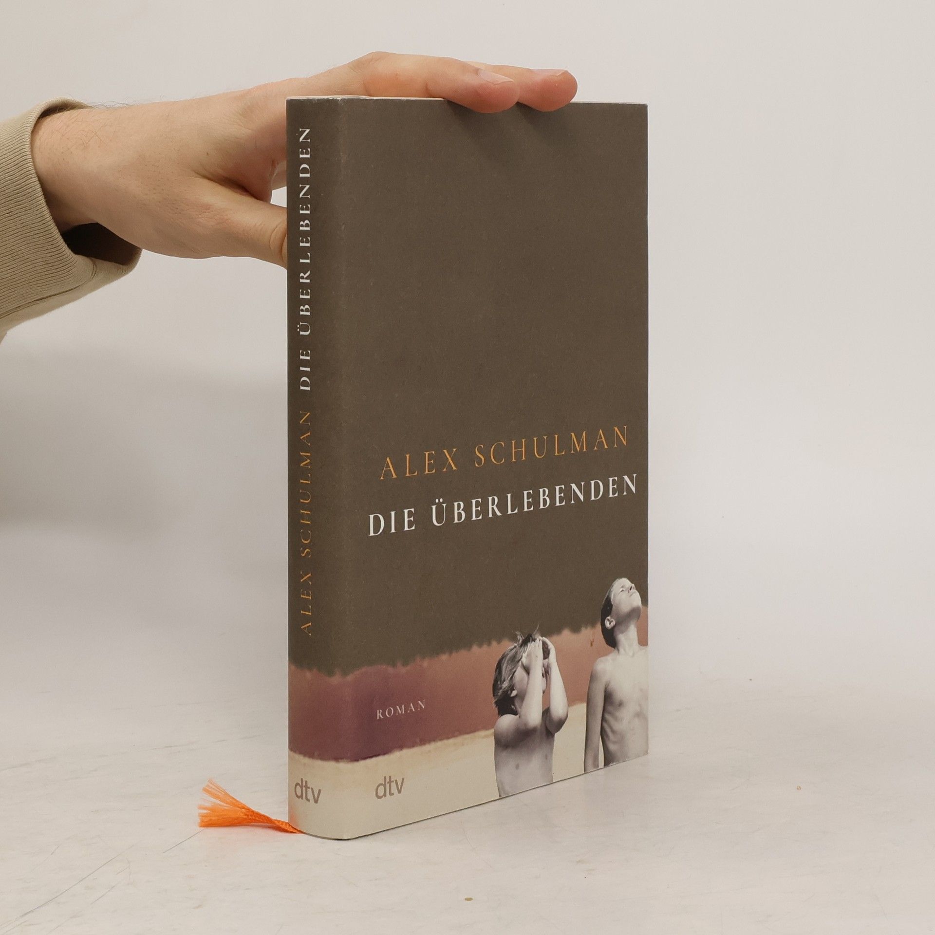 Alex Schulman Die Überlebenden