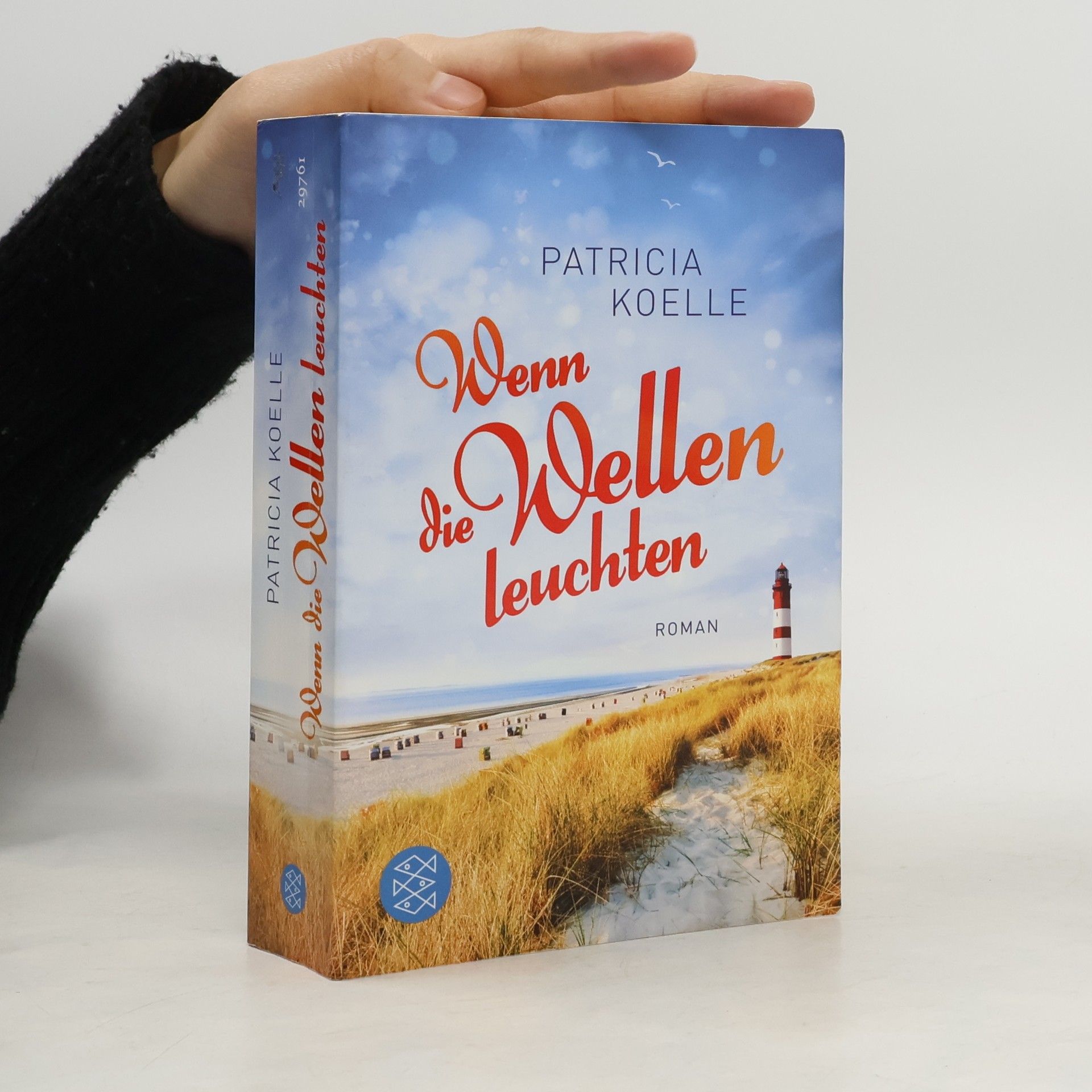 Patricia Koelle Wenn die Wellen leuchten