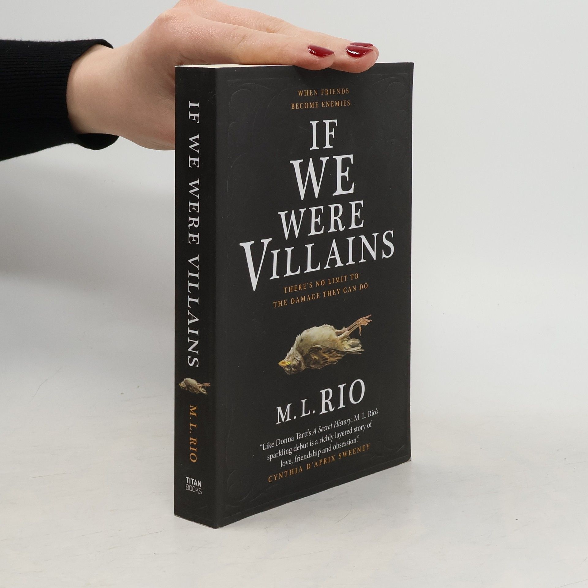 M. L. Rio If We Were Villains