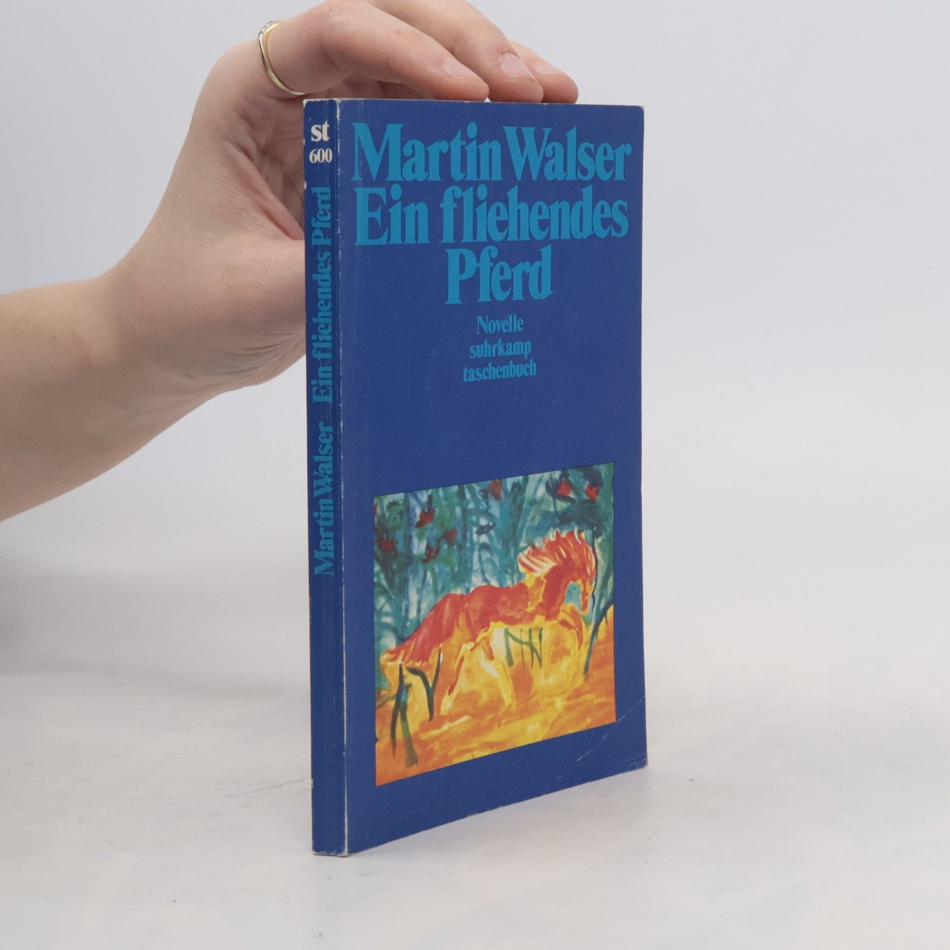 Martin Johannes Walser Ein fliehendes Pferd