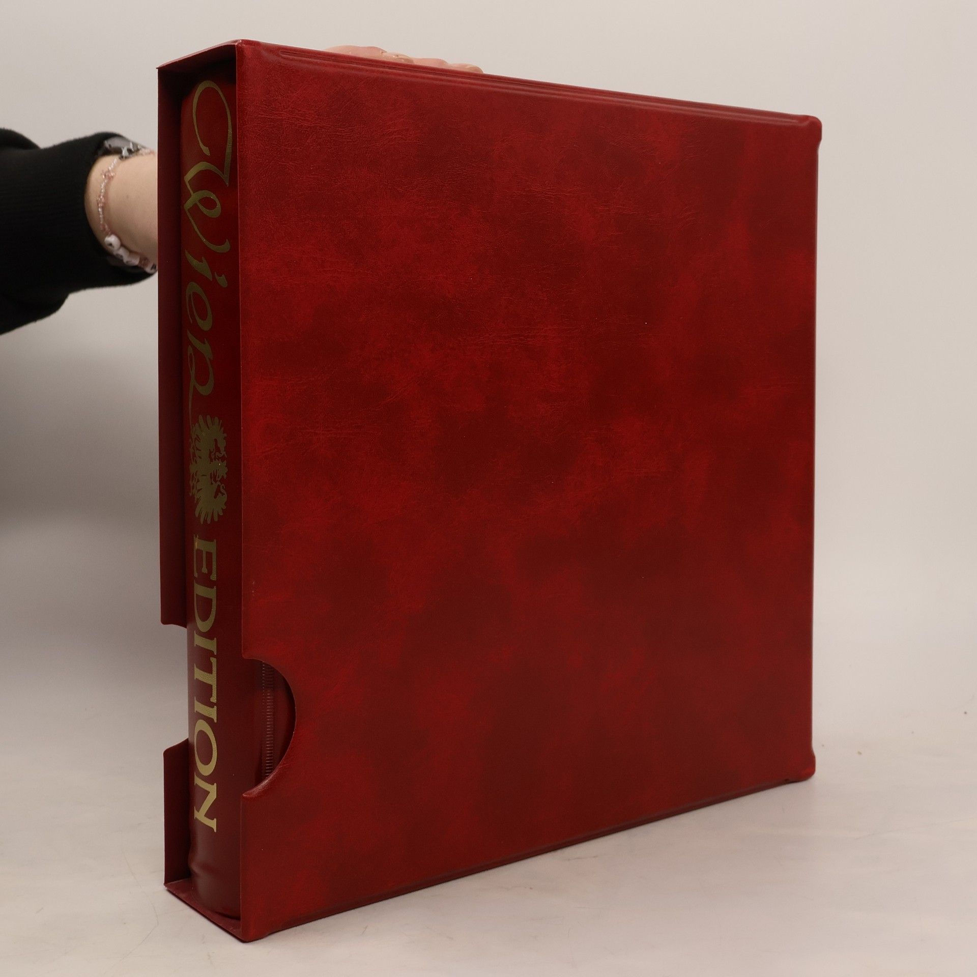 Autorenkollektiv Wien Edition I