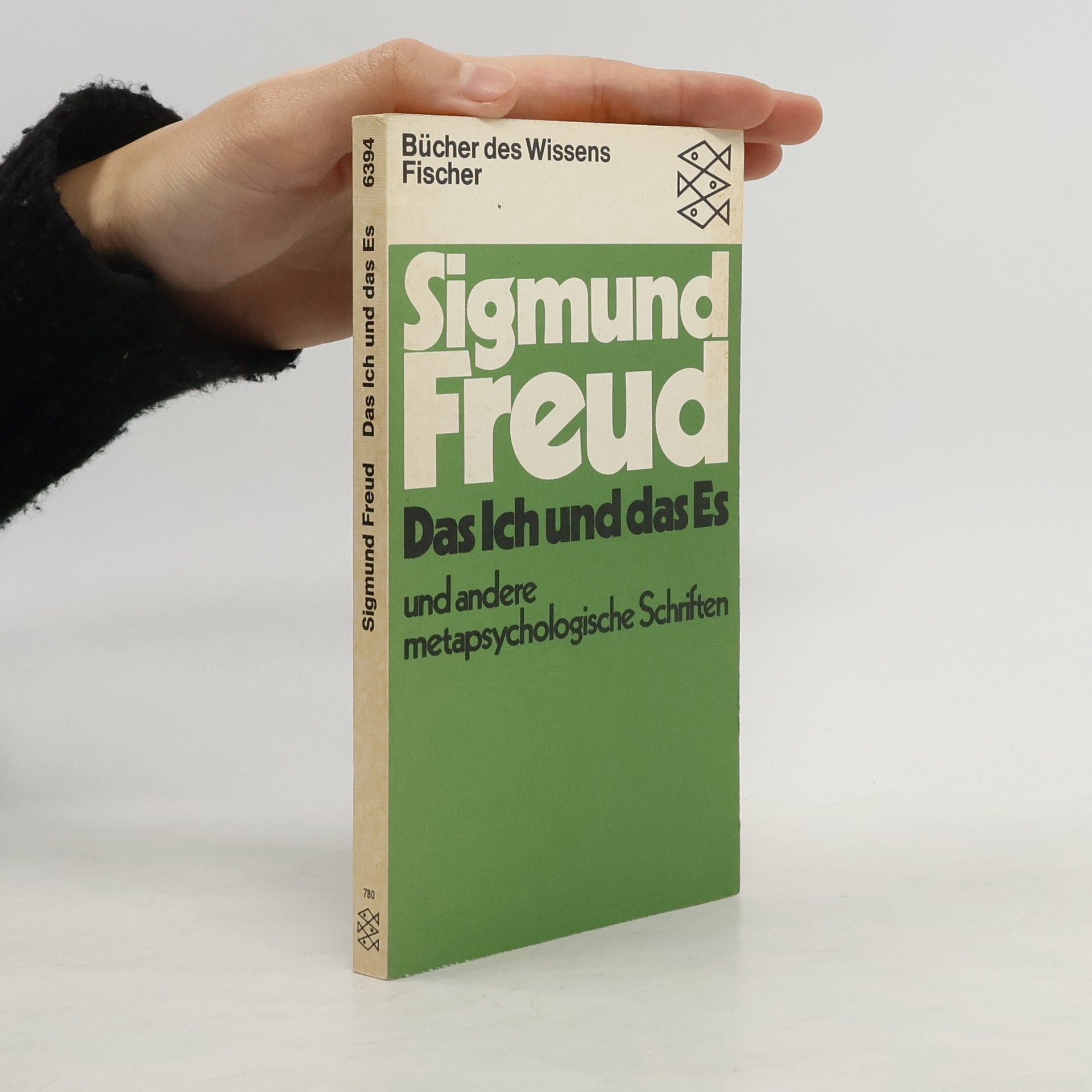 Sigmund Freud Das Ich und das Es und andere metapsychologische Schriften