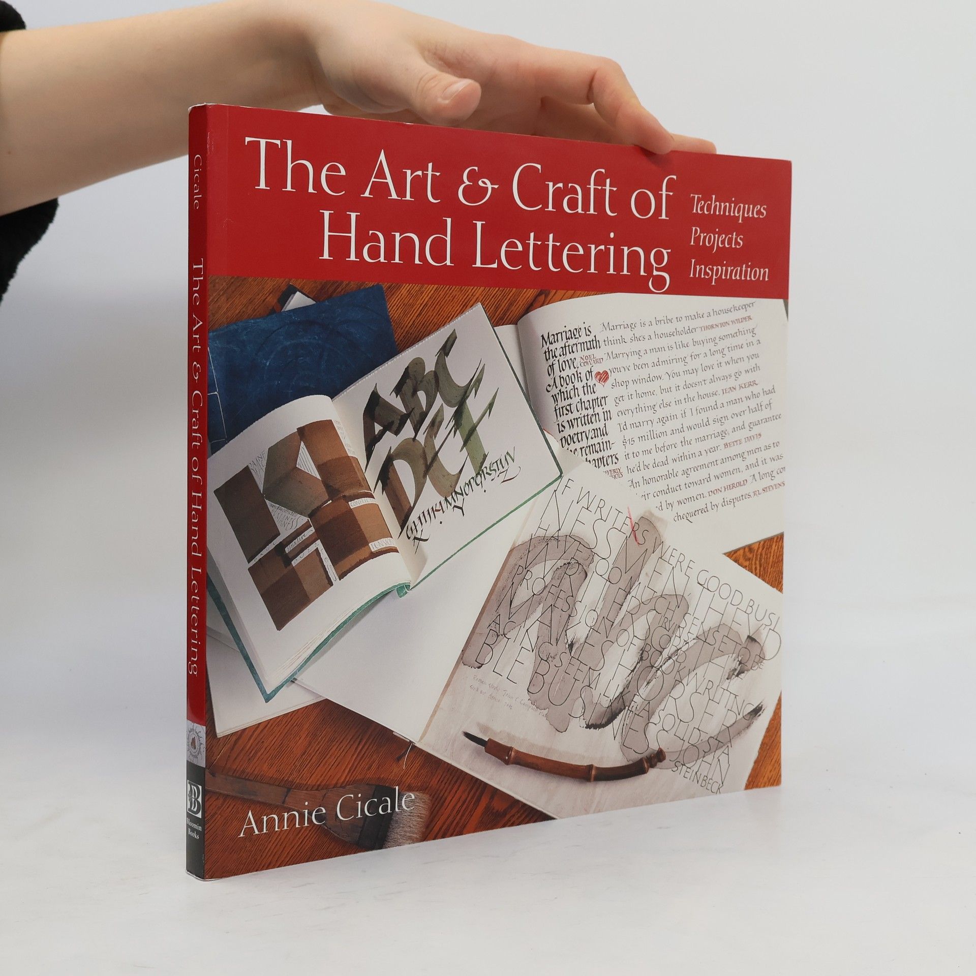 Annie Cicale The Art and Craft of Hand Lettering
