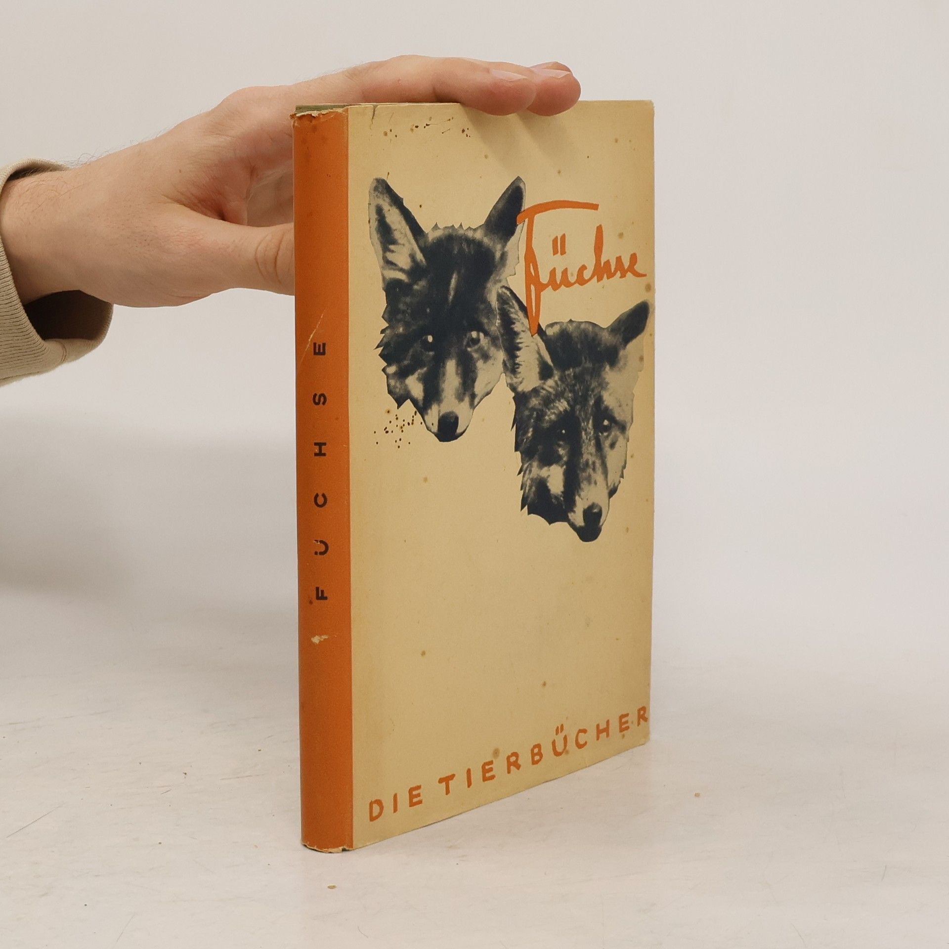 Autores varios Füchse