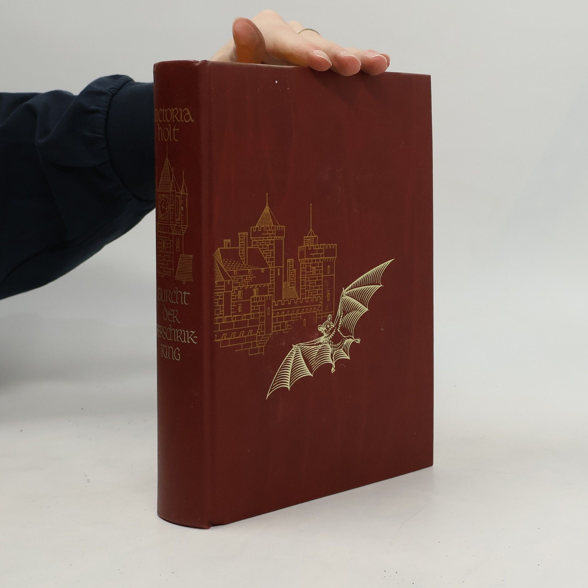 Dorith Hassing Burcht der verschrikking